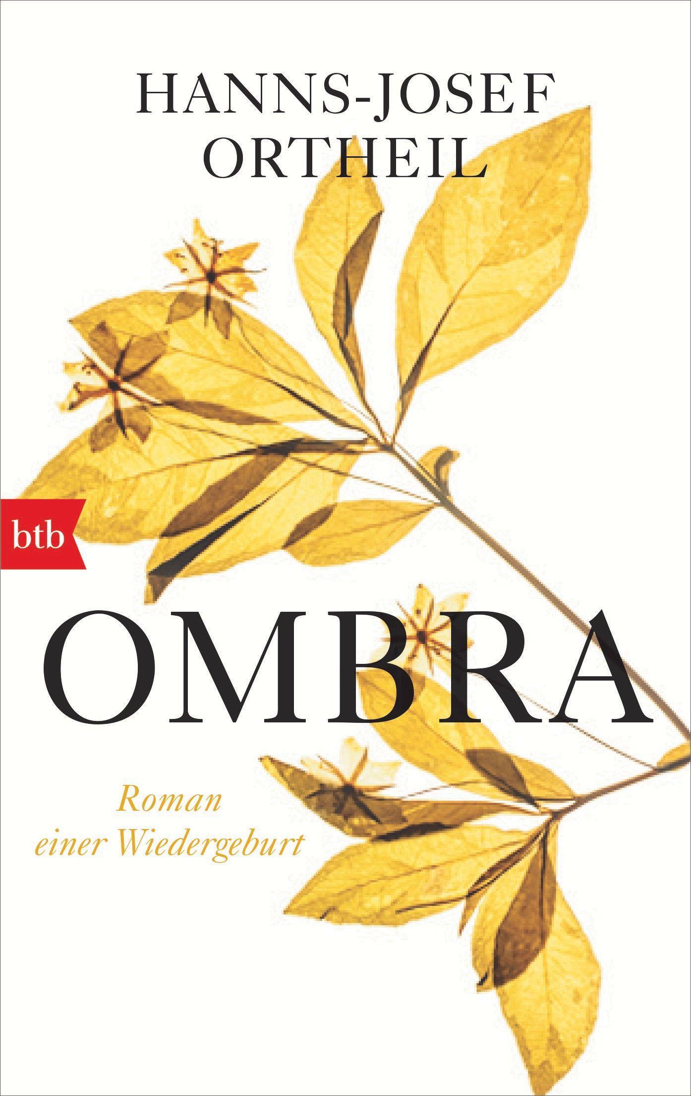 Vorderes Coverbild OMBRA