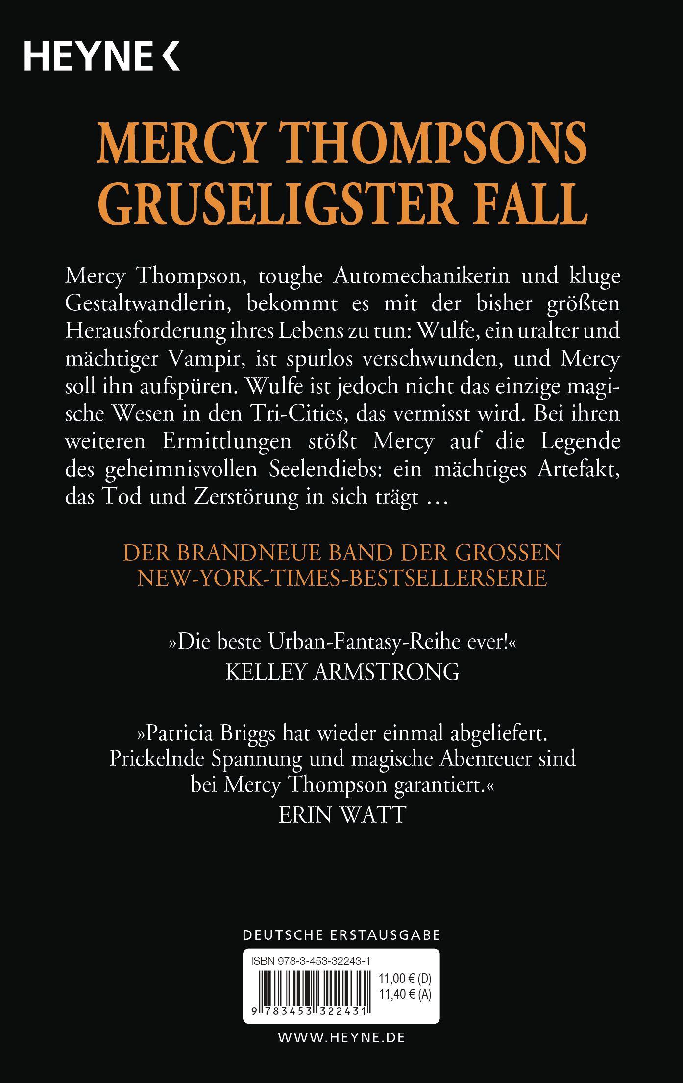 Beispielinhalt (Bild) Seelendieb