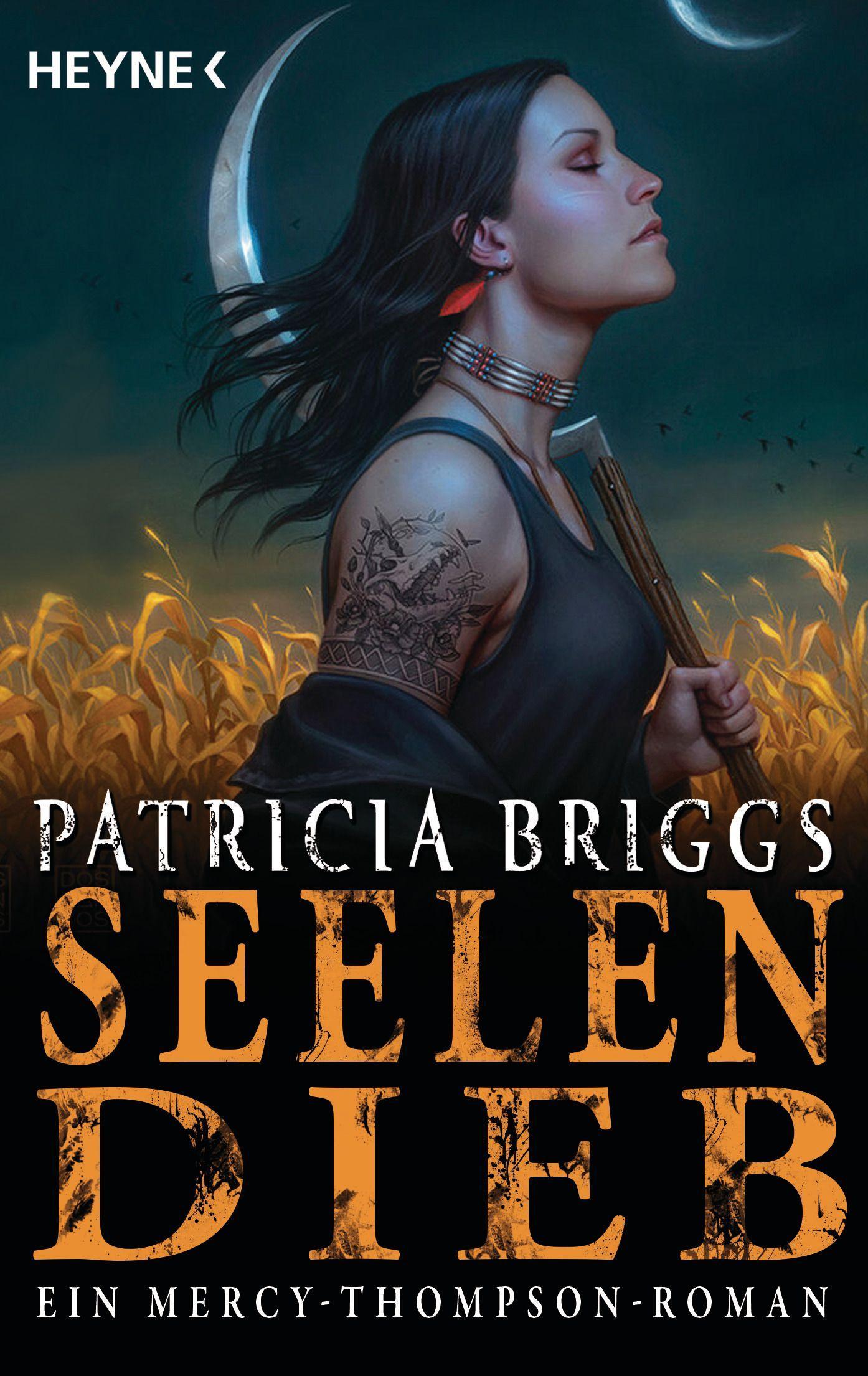 Vorderes Coverbild Seelendieb