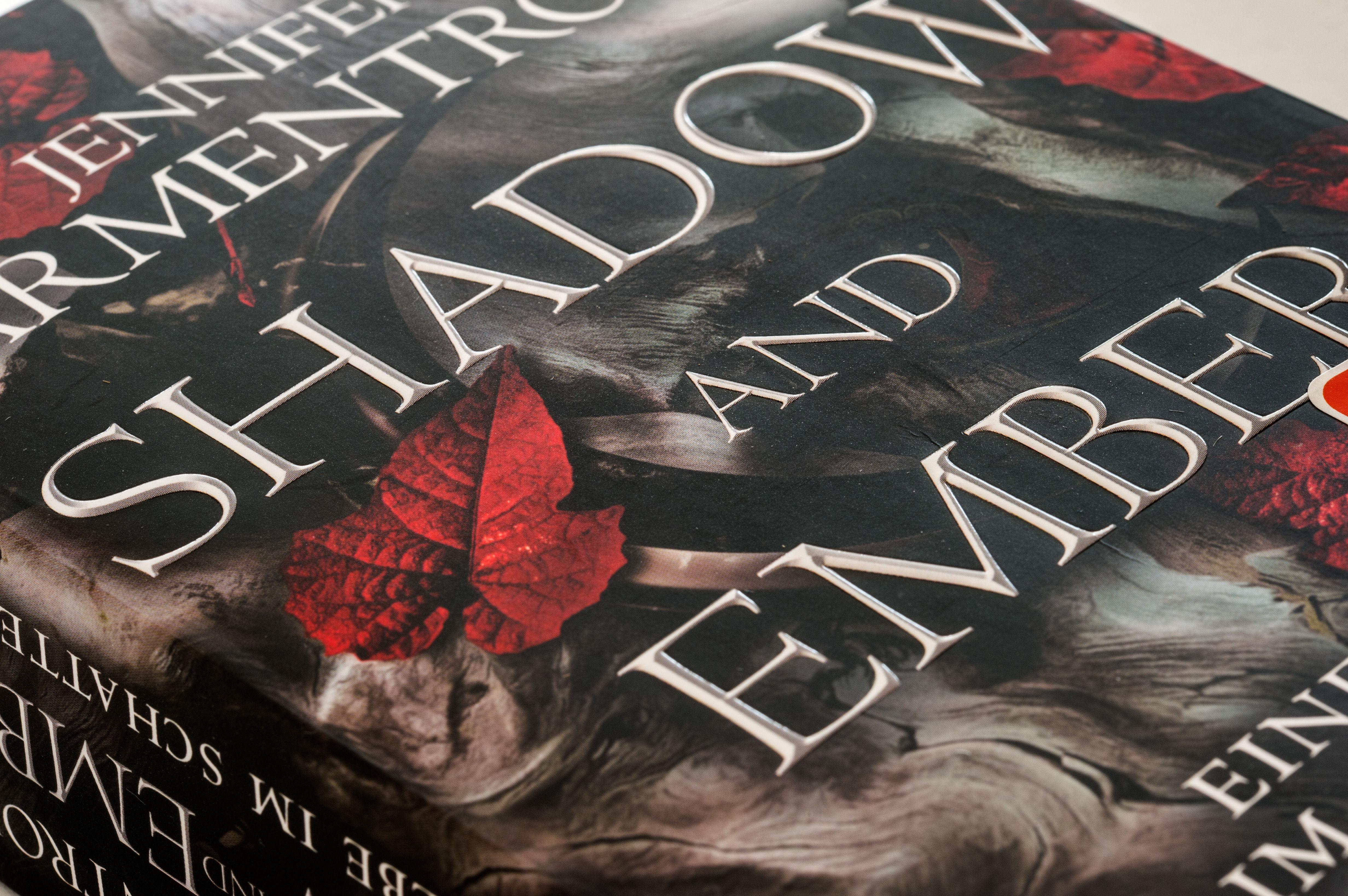 Beispielinhalt (Bild) Shadow and Ember - Eine Liebe im Schatten
