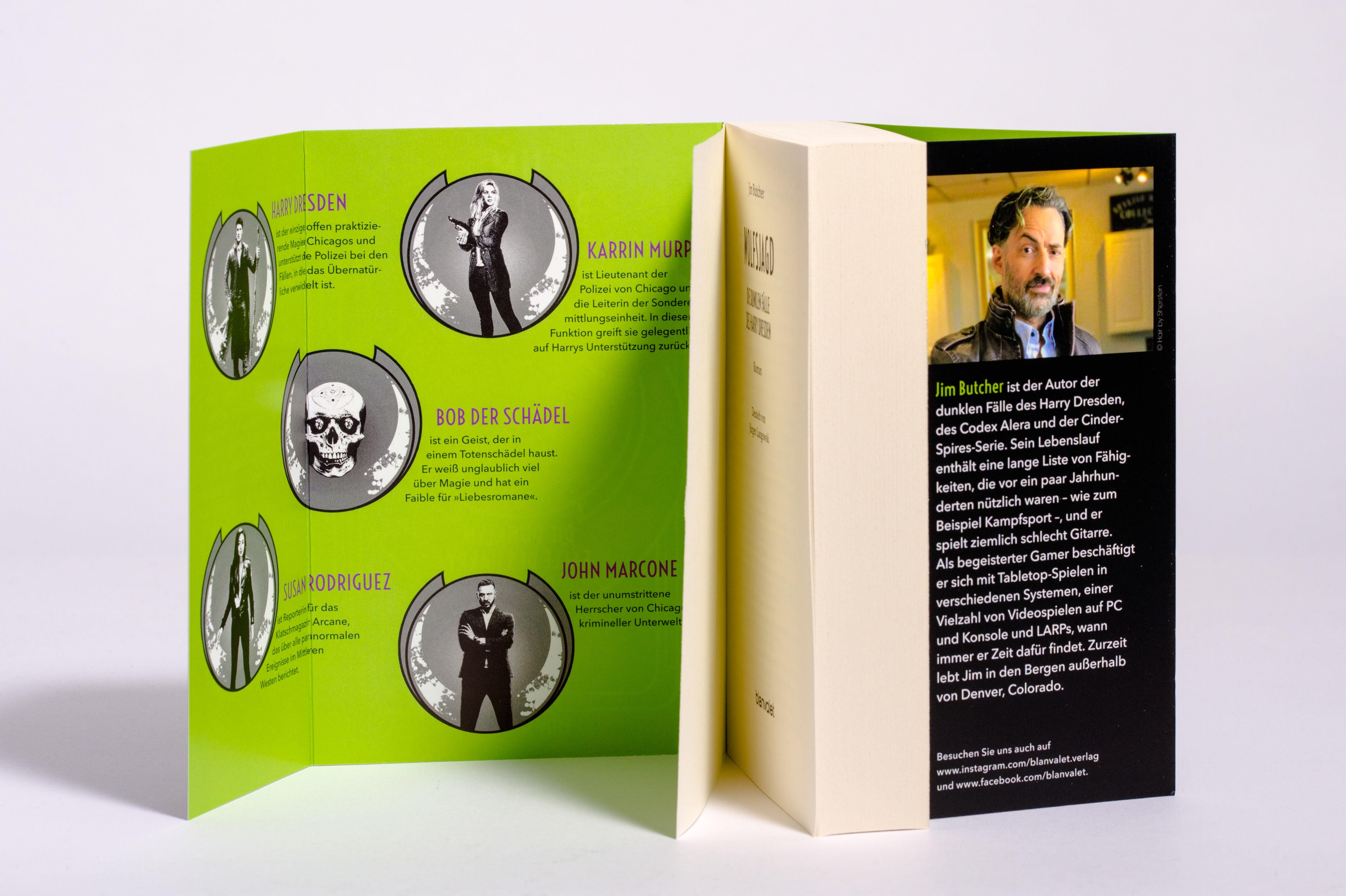 Beispielinhalt (Bild) Die dunklen Fälle des Harry Dresden - Wolfsjagd