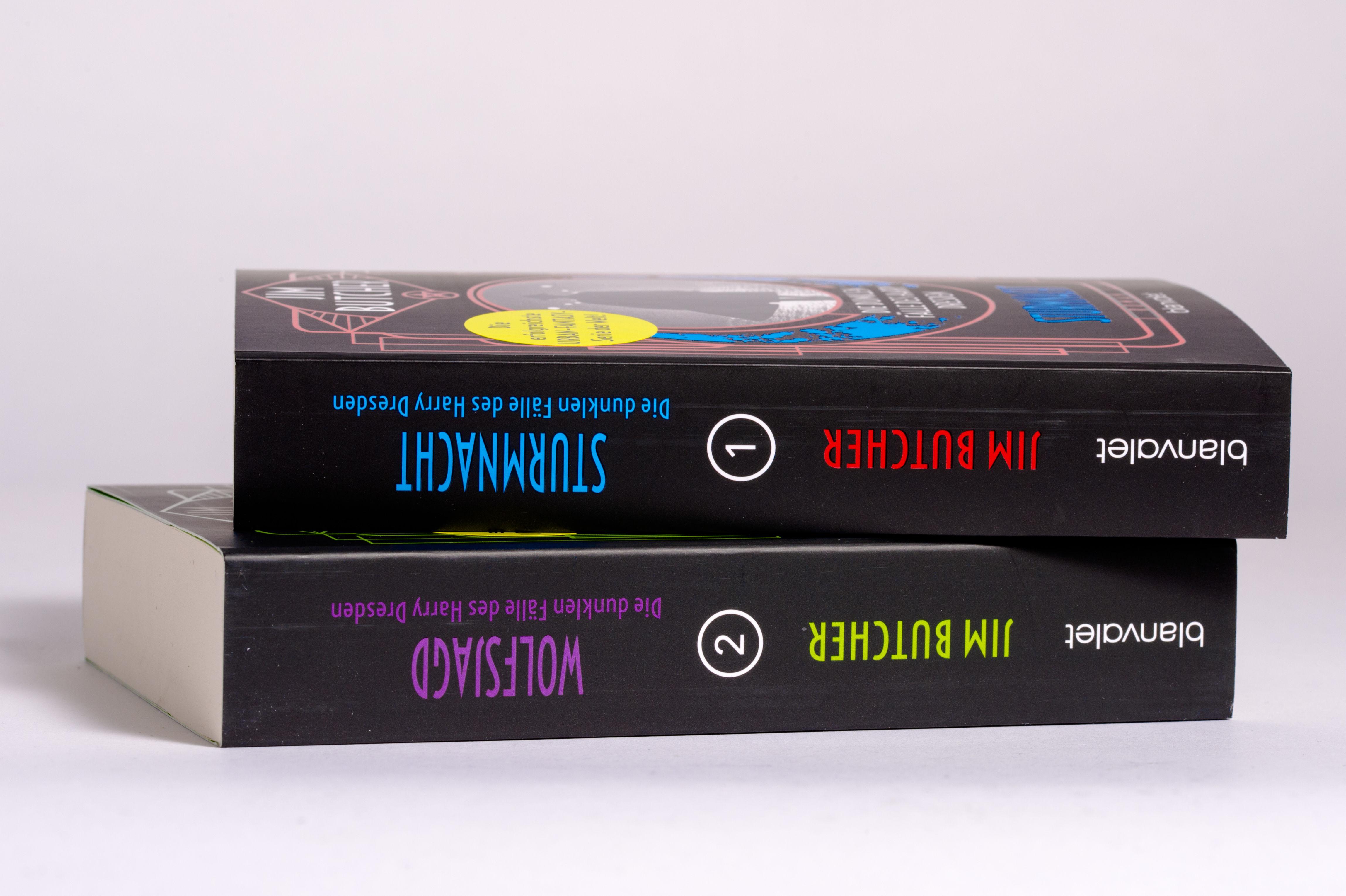 Beispielinhalt (Bild) Die dunklen Fälle des Harry Dresden - Wolfsjagd