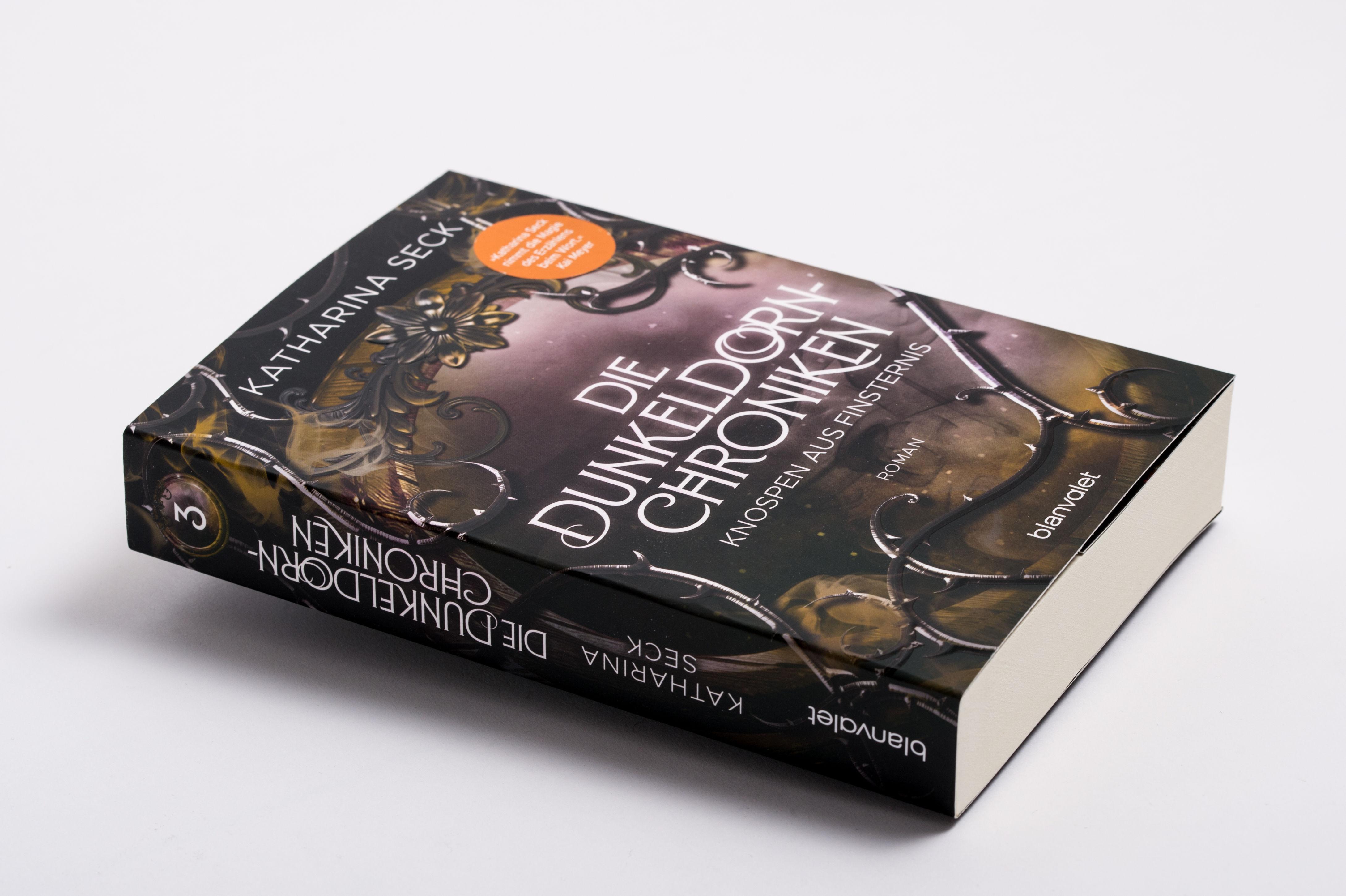 Beispielinhalt (Bild) Die Dunkeldorn-Chroniken - Knospen aus Finsternis