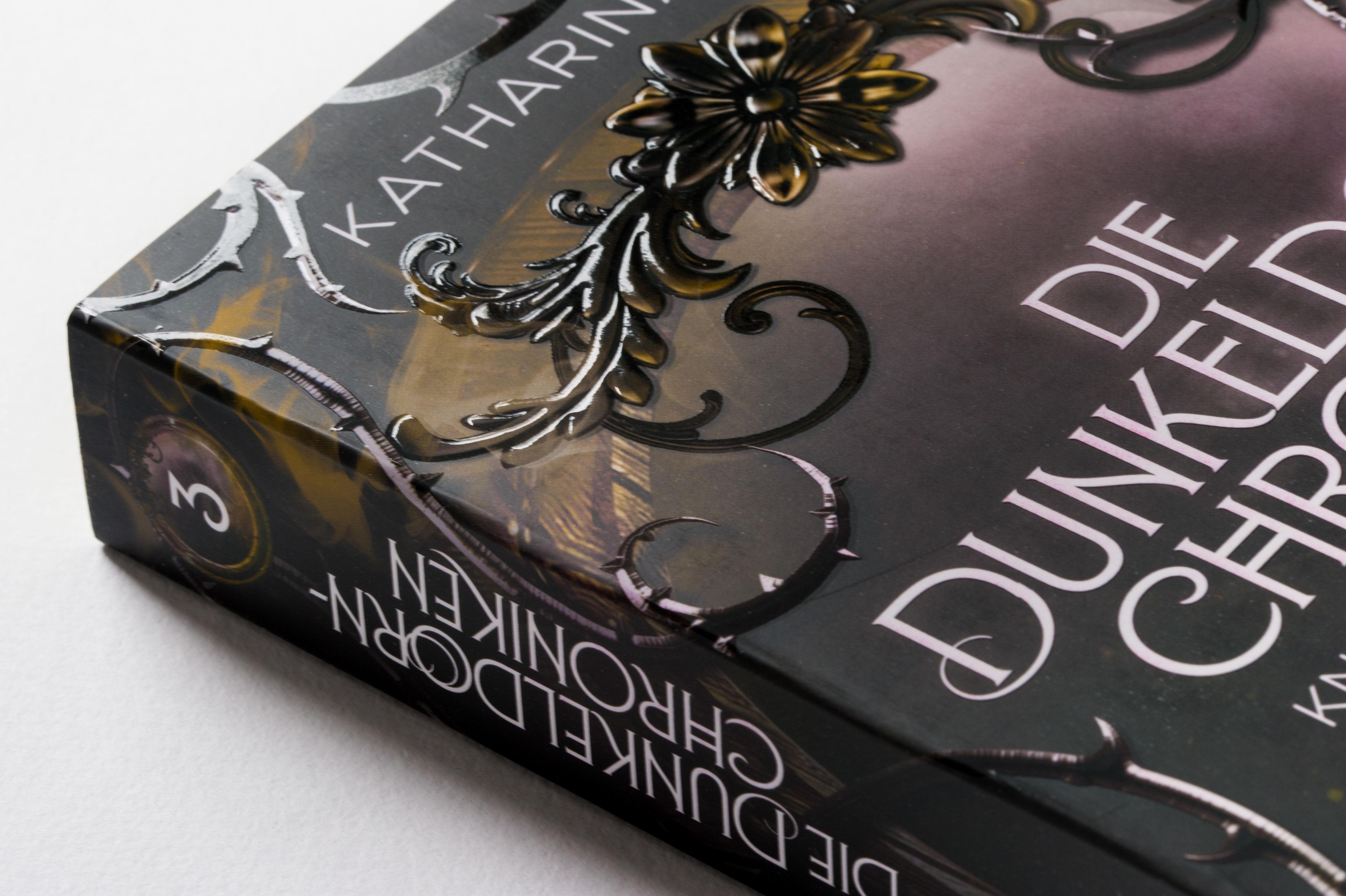 Beispielinhalt (Bild) Die Dunkeldorn-Chroniken - Knospen aus Finsternis