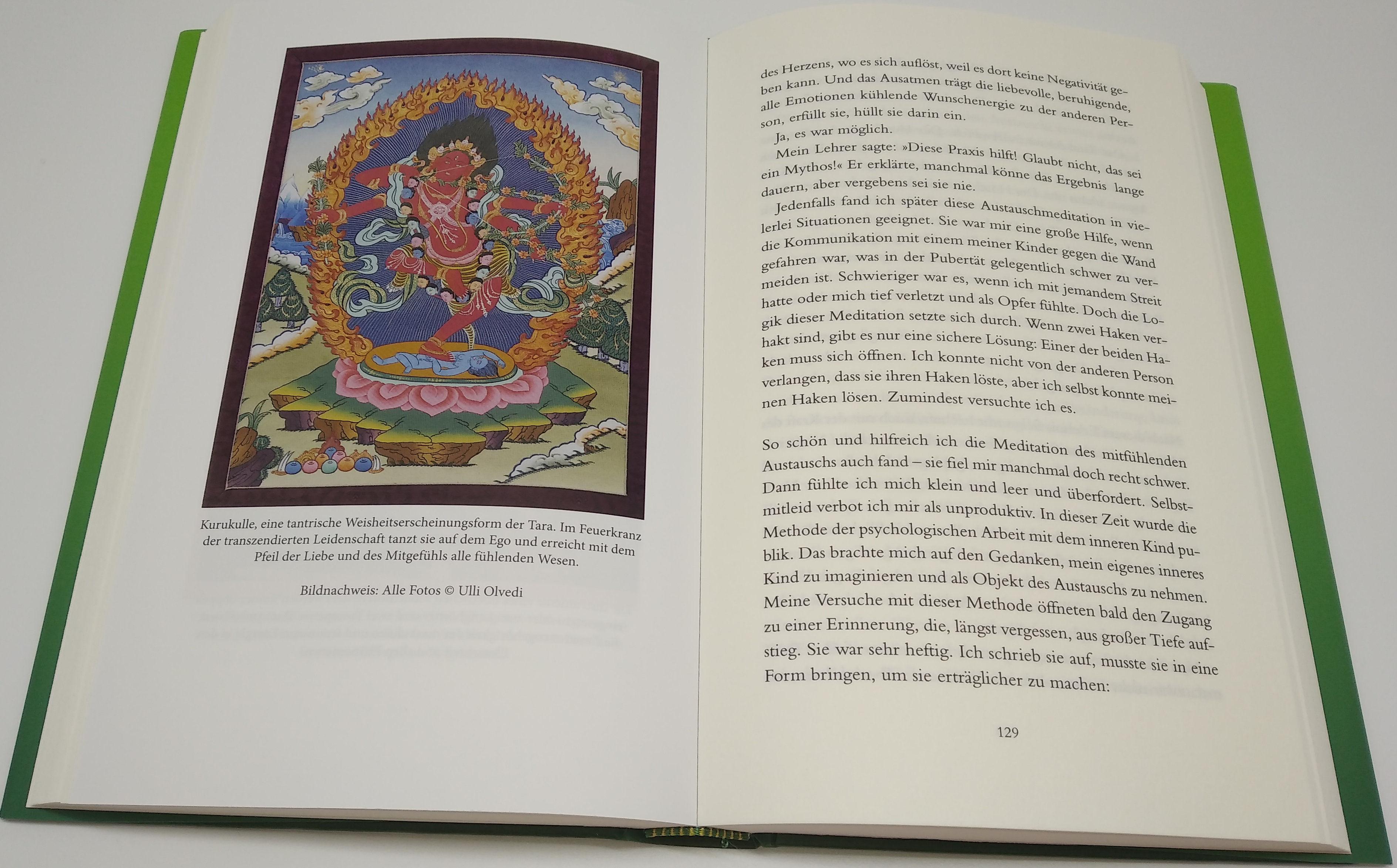 Beispielinhalt (Bild) Meine Tara