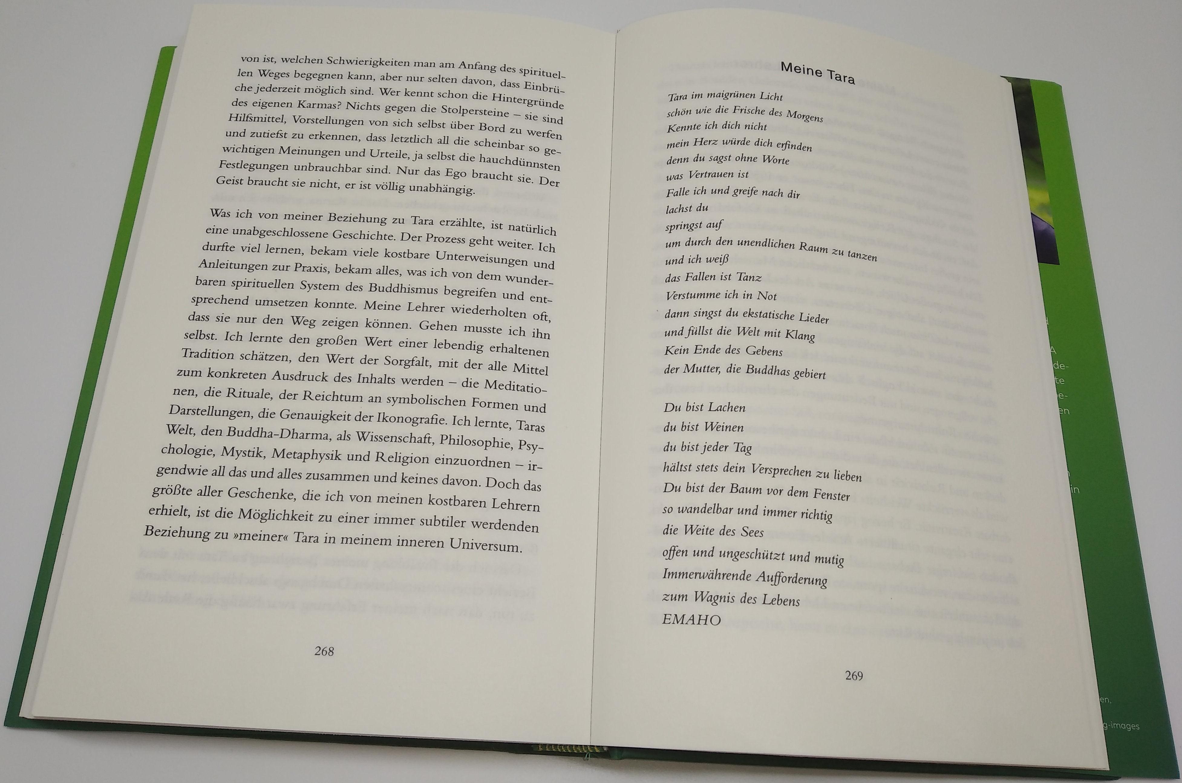 Beispielinhalt (Bild) Meine Tara