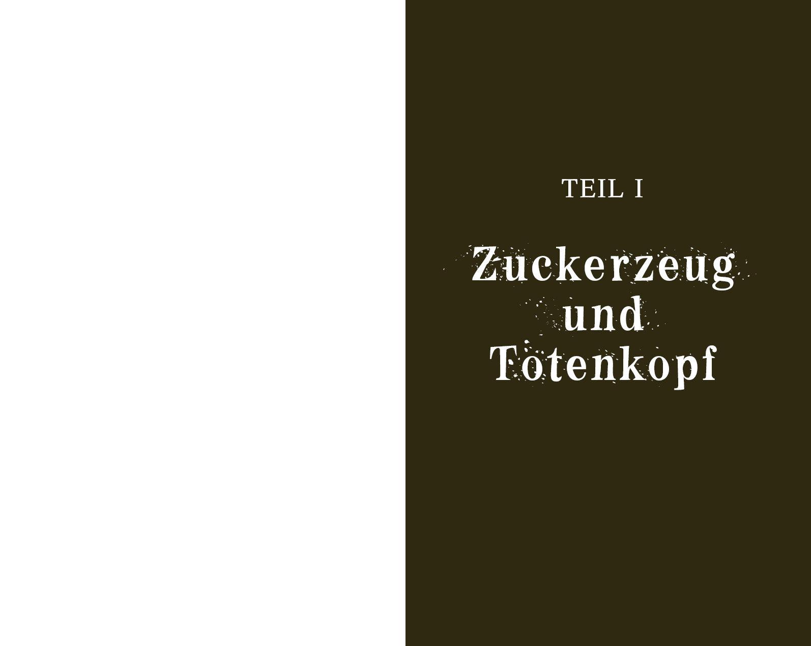 Beispielinhalt (Bild) City of Ghosts - Der Bote aus der Dunkelheit