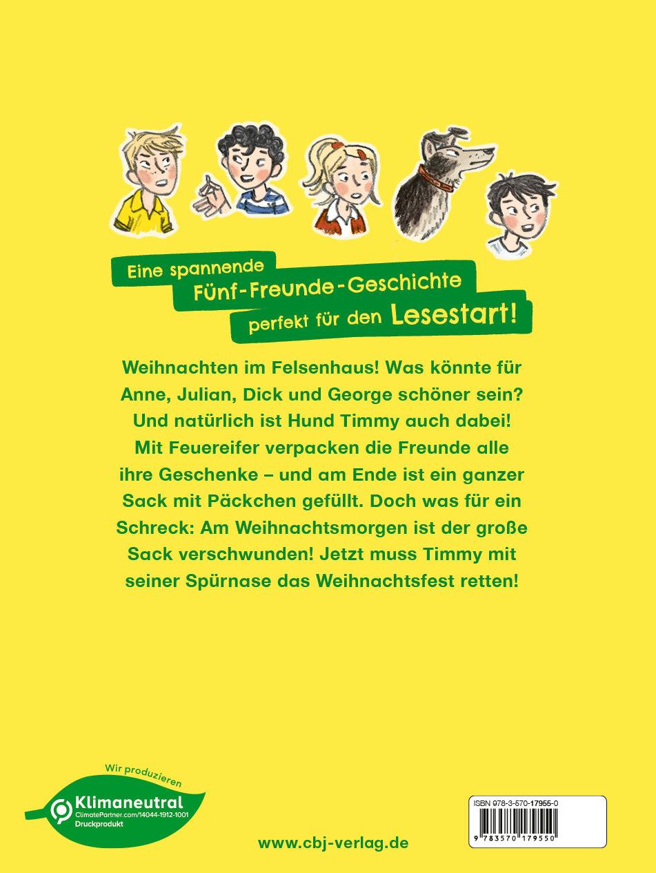 Beispielinhalt (Bild) Fünf Freunde JUNIOR - Die verschwundenen Weihnachtspäckchen