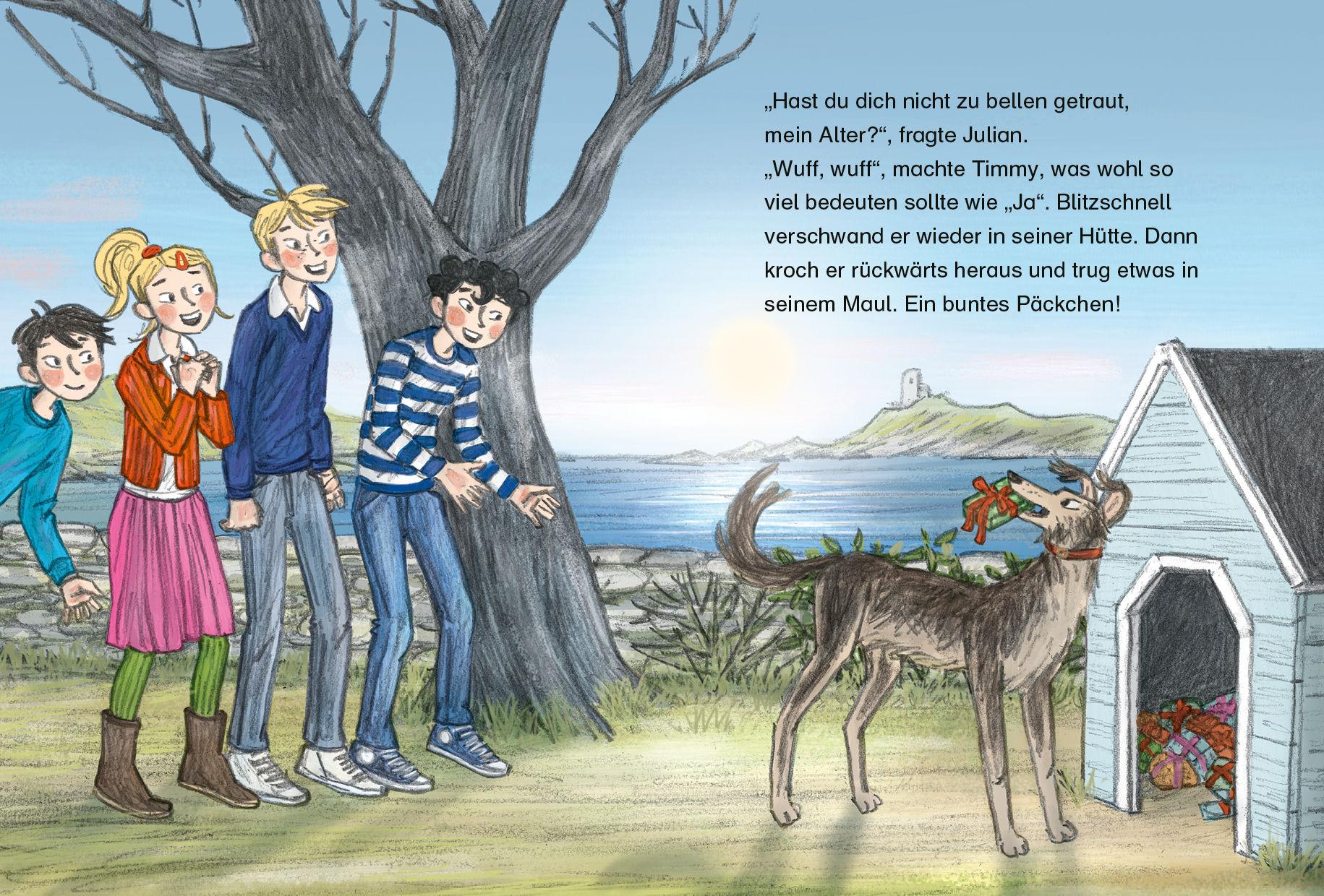 Beispielinhalt (Bild) Fünf Freunde JUNIOR - Die verschwundenen Weihnachtspäckchen