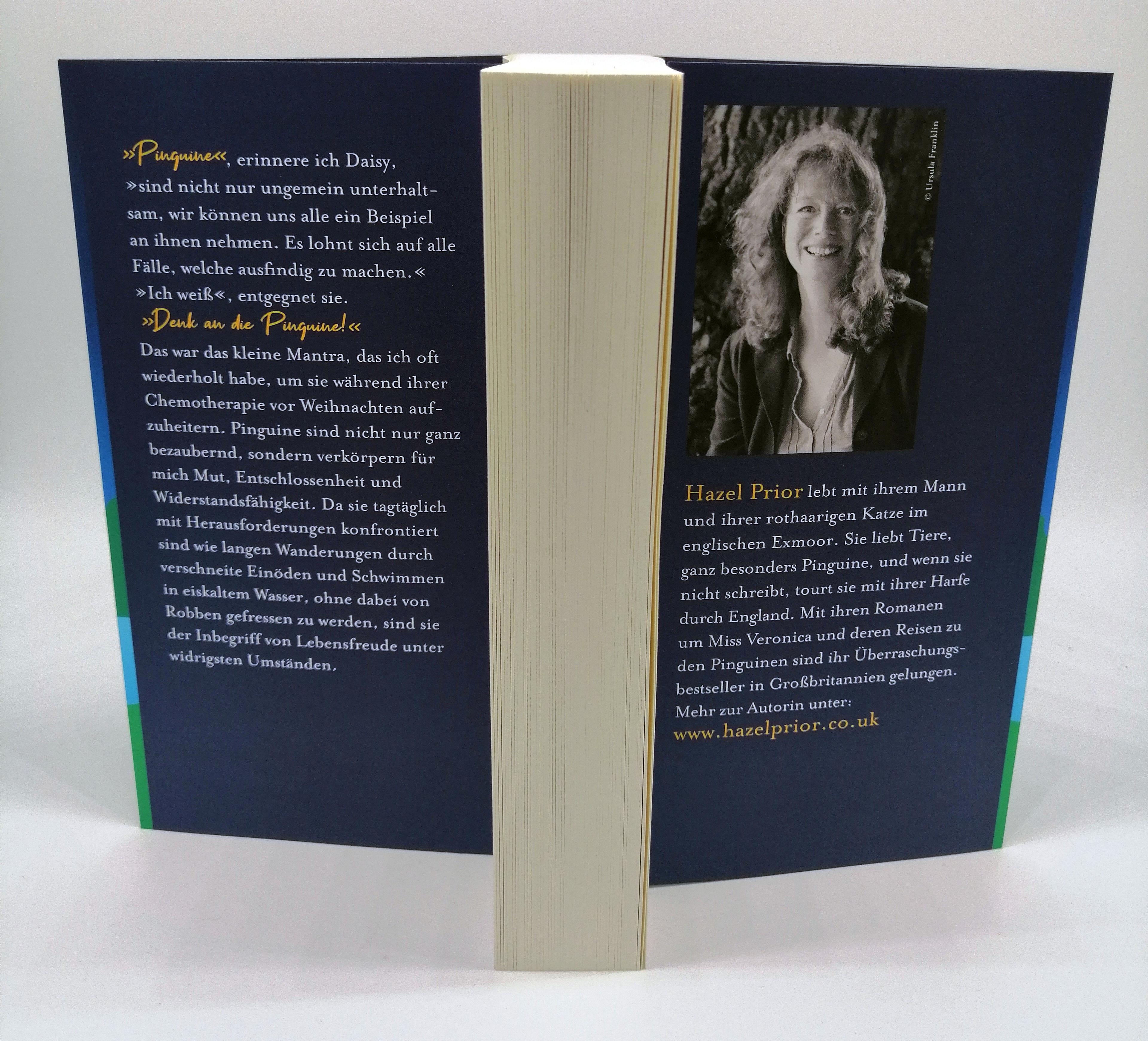 Beispielinhalt (Bild) Miss Veronica und der Ruf der Pinguine