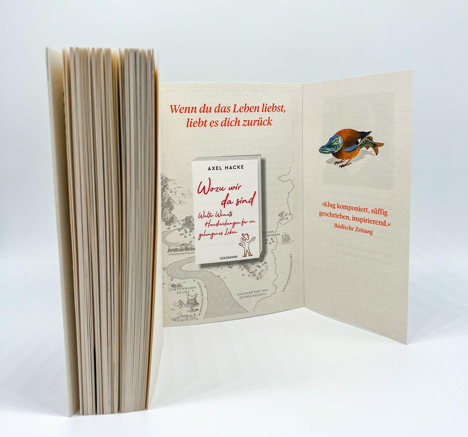 Beispielinhalt (Bild) Im Bann des Eichelhechts und andere Geschichten aus Sprachland