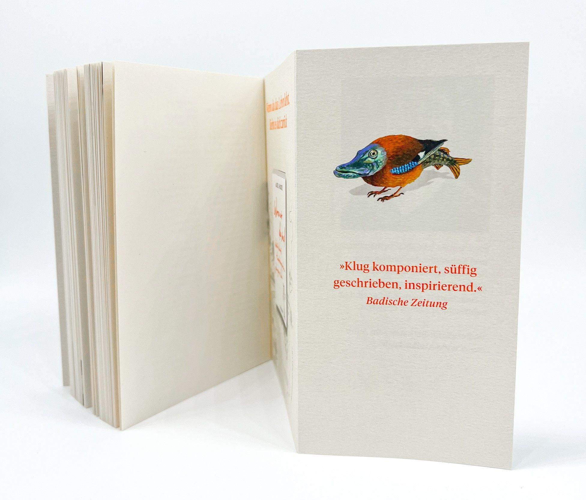 Beispielinhalt (Bild) Im Bann des Eichelhechts und andere Geschichten aus Sprachland