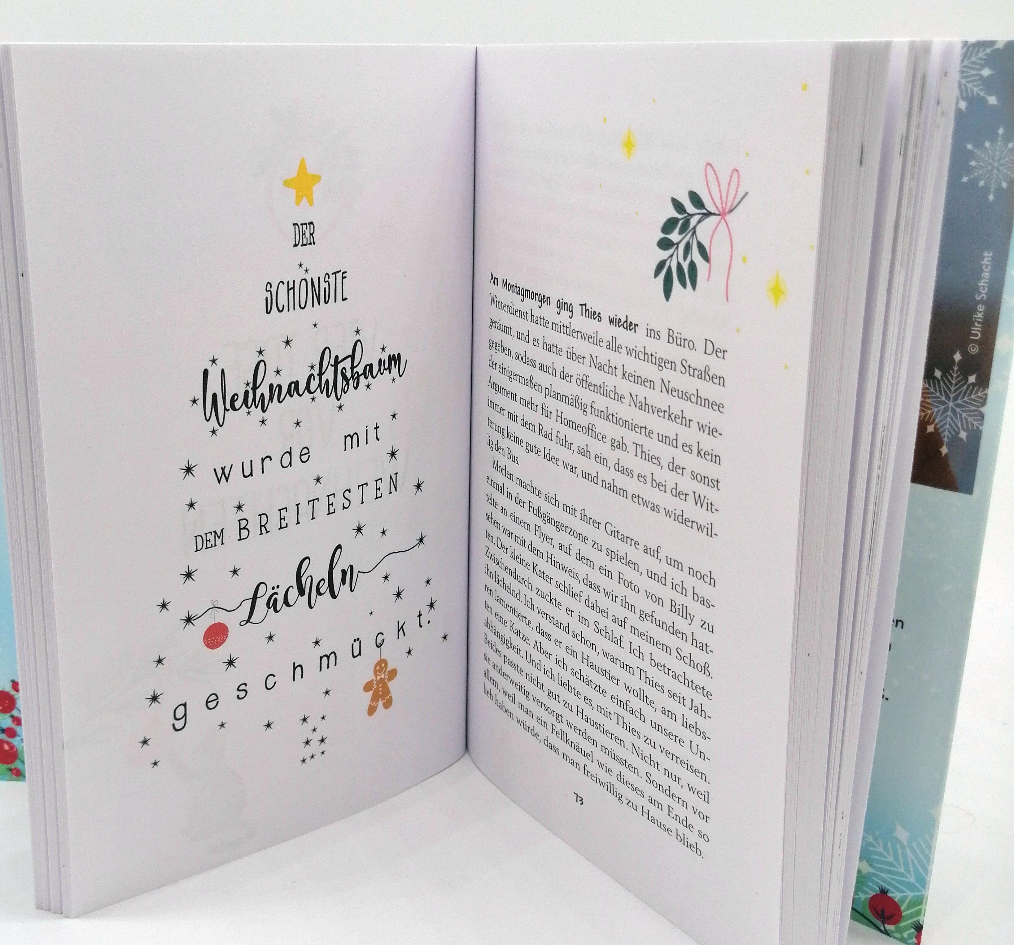 Beispielinhalt (Bild) Sterne glitzern auch im Schnee