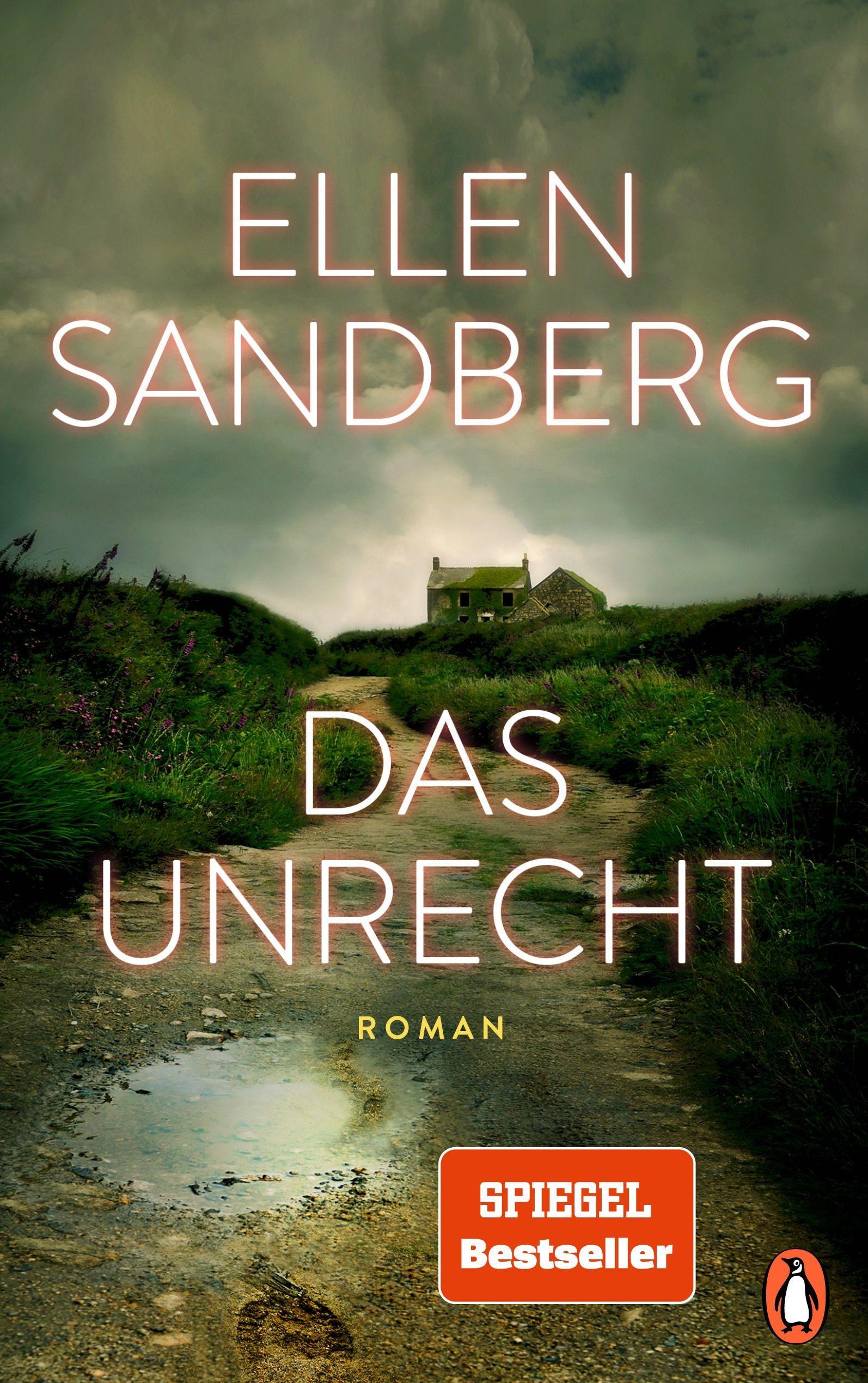 Vorderes Coverbild Das Unrecht