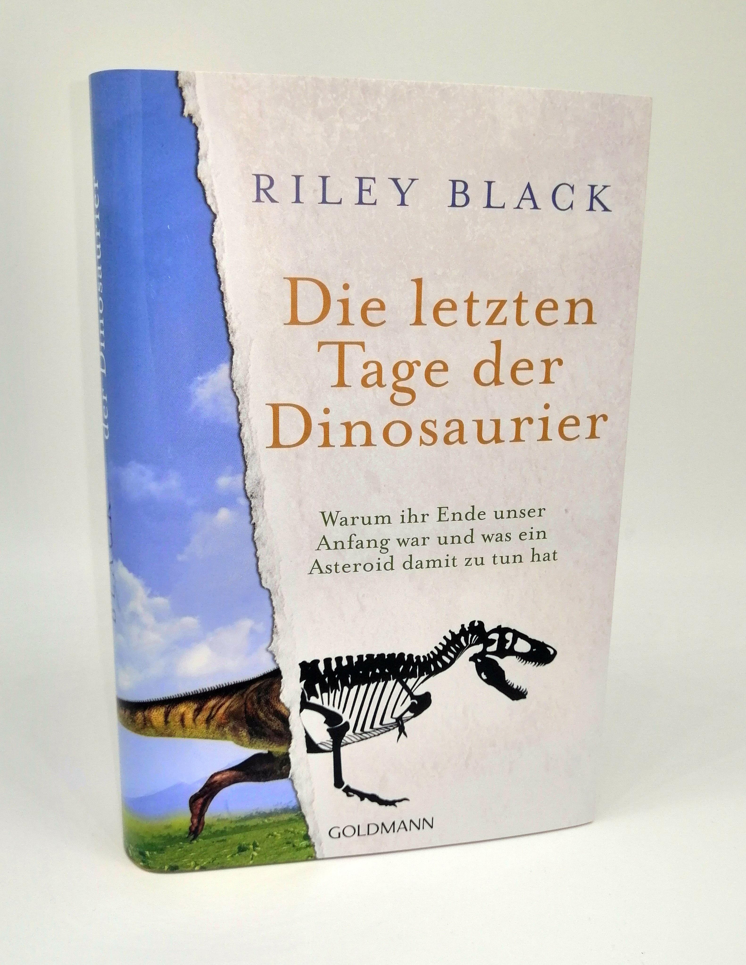 Beispielinhalt (Bild) Die letzten Tage der Dinosaurier