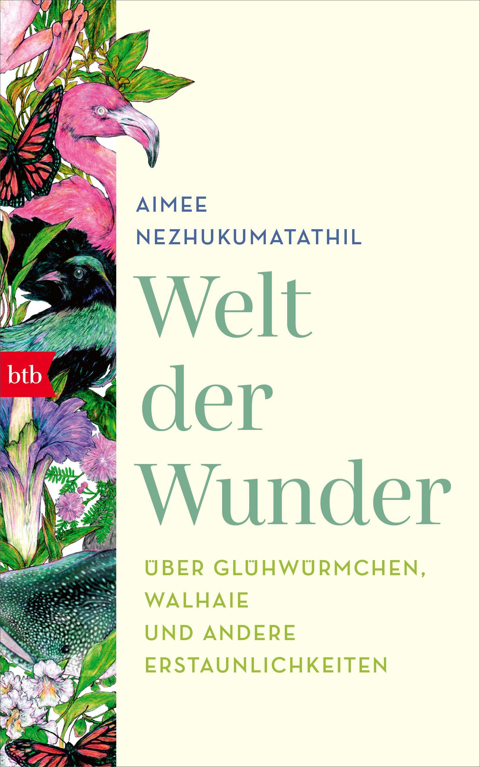 Vorderes Coverbild Welt der Wunder