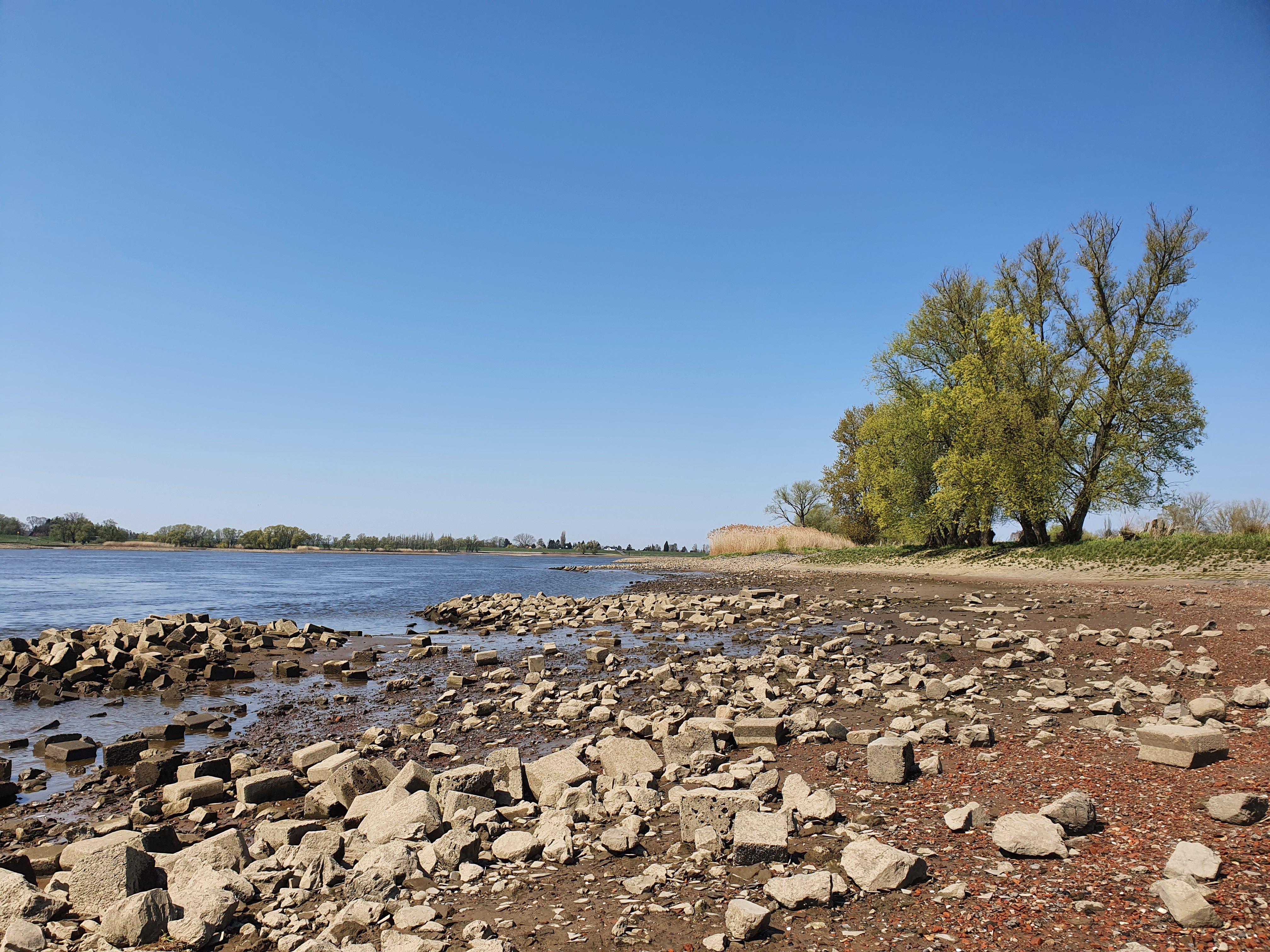 Beispielinhalt (Bild) Agnes geht