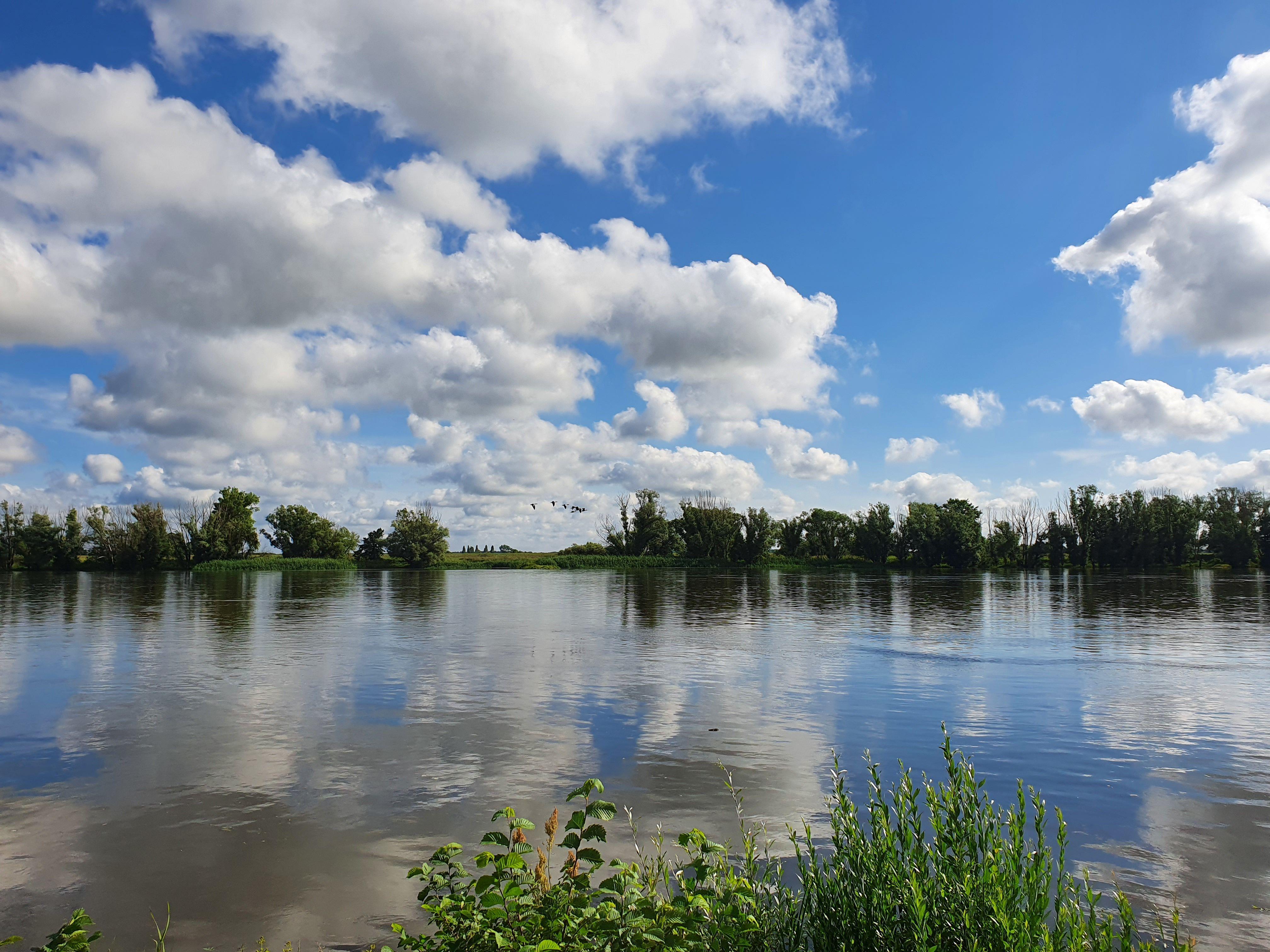 Beispielinhalt (Bild) Agnes geht
