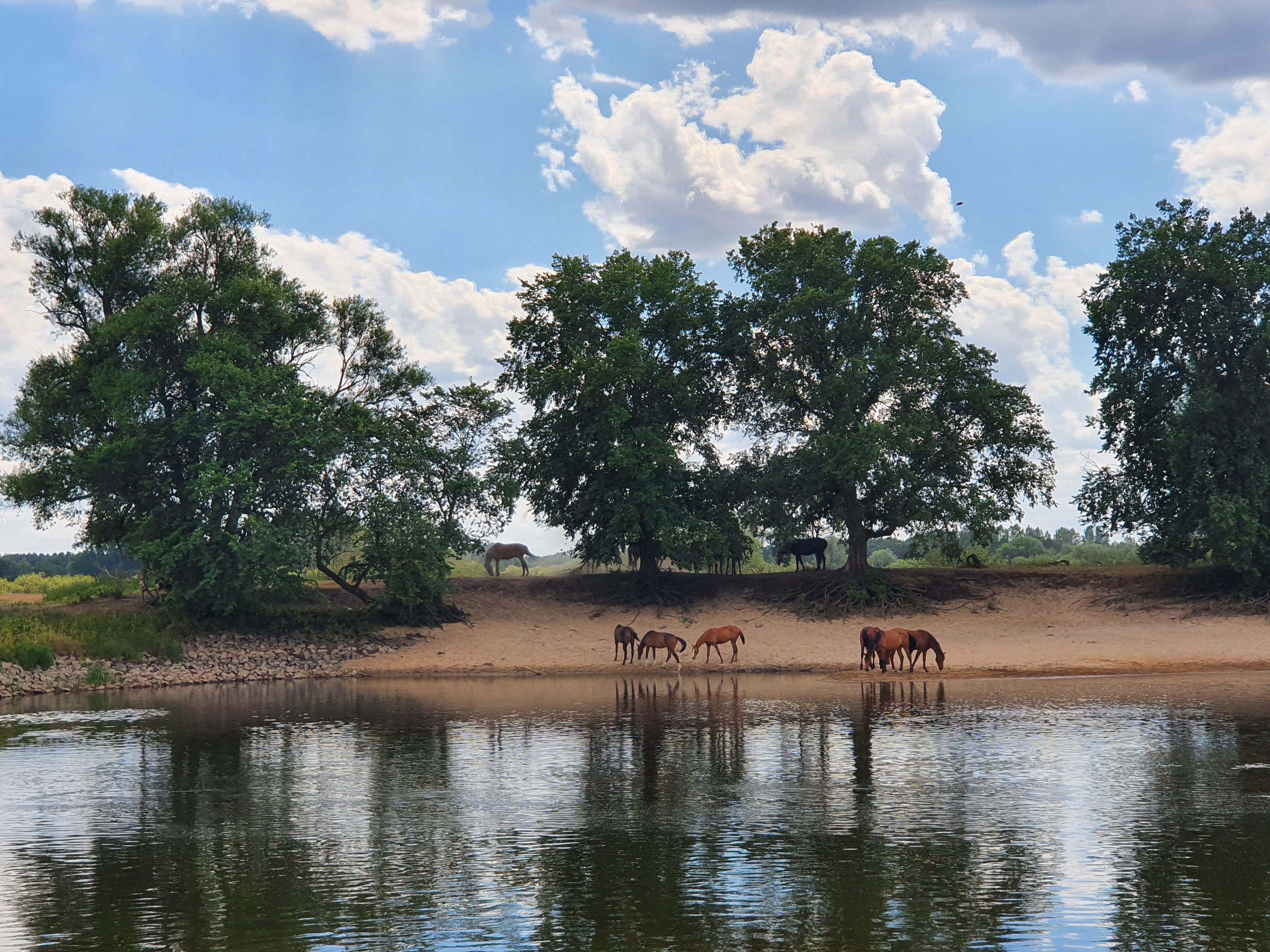 Beispielinhalt (Bild) Agnes geht