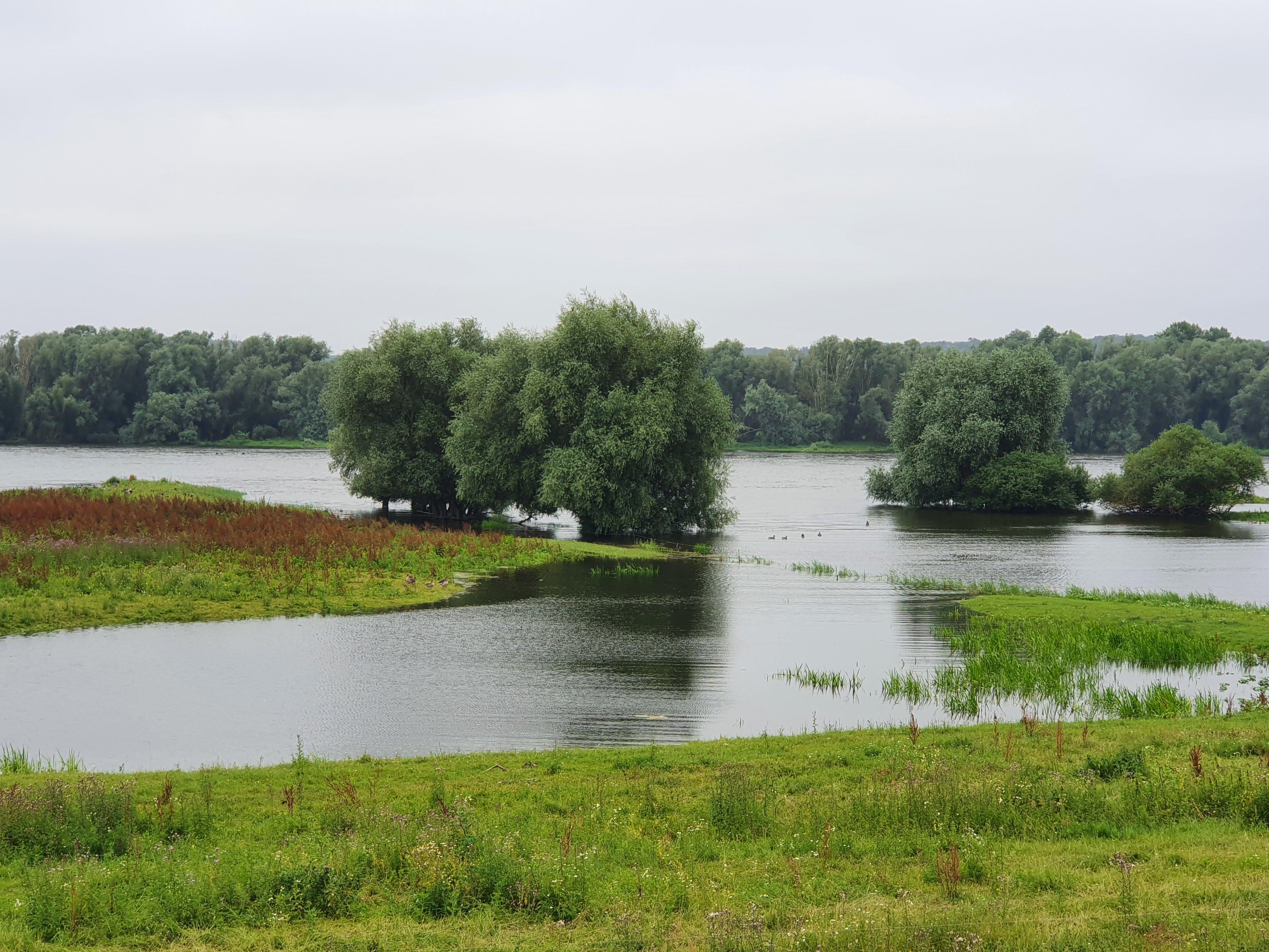 Beispielinhalt (Bild) Agnes geht