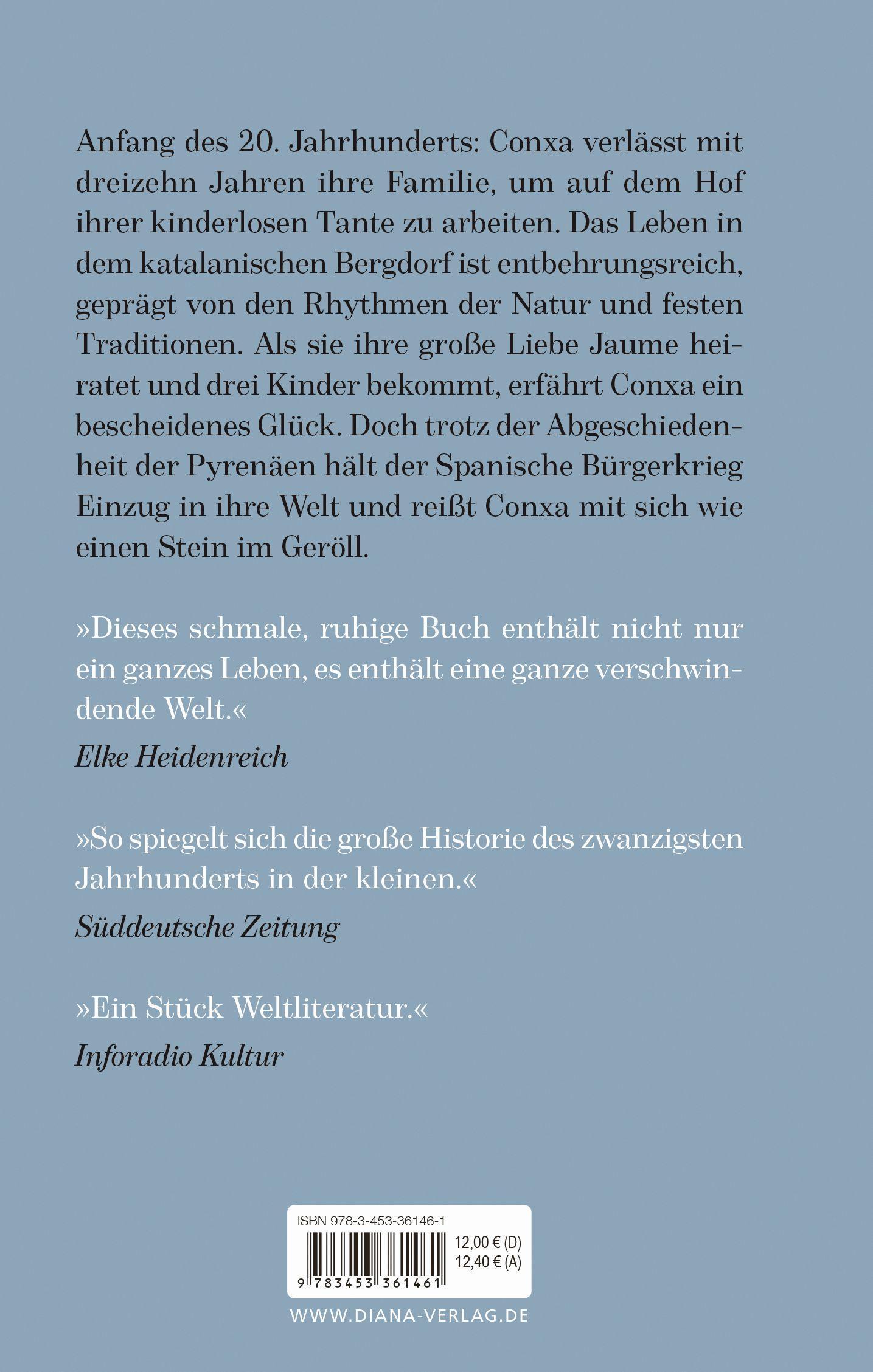 Beispielinhalt (Bild) Wie ein Stein im Geröll