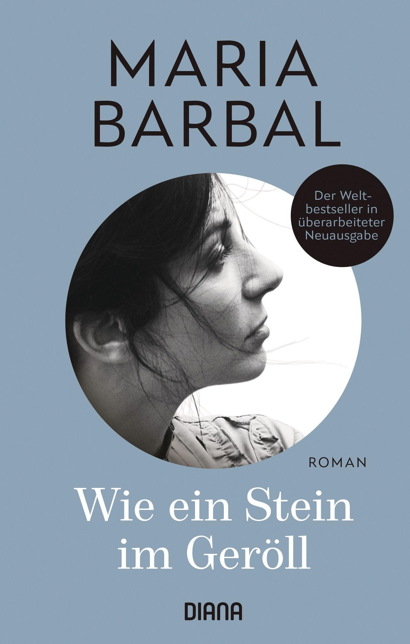 Vorderes Coverbild Wie ein Stein im Geröll