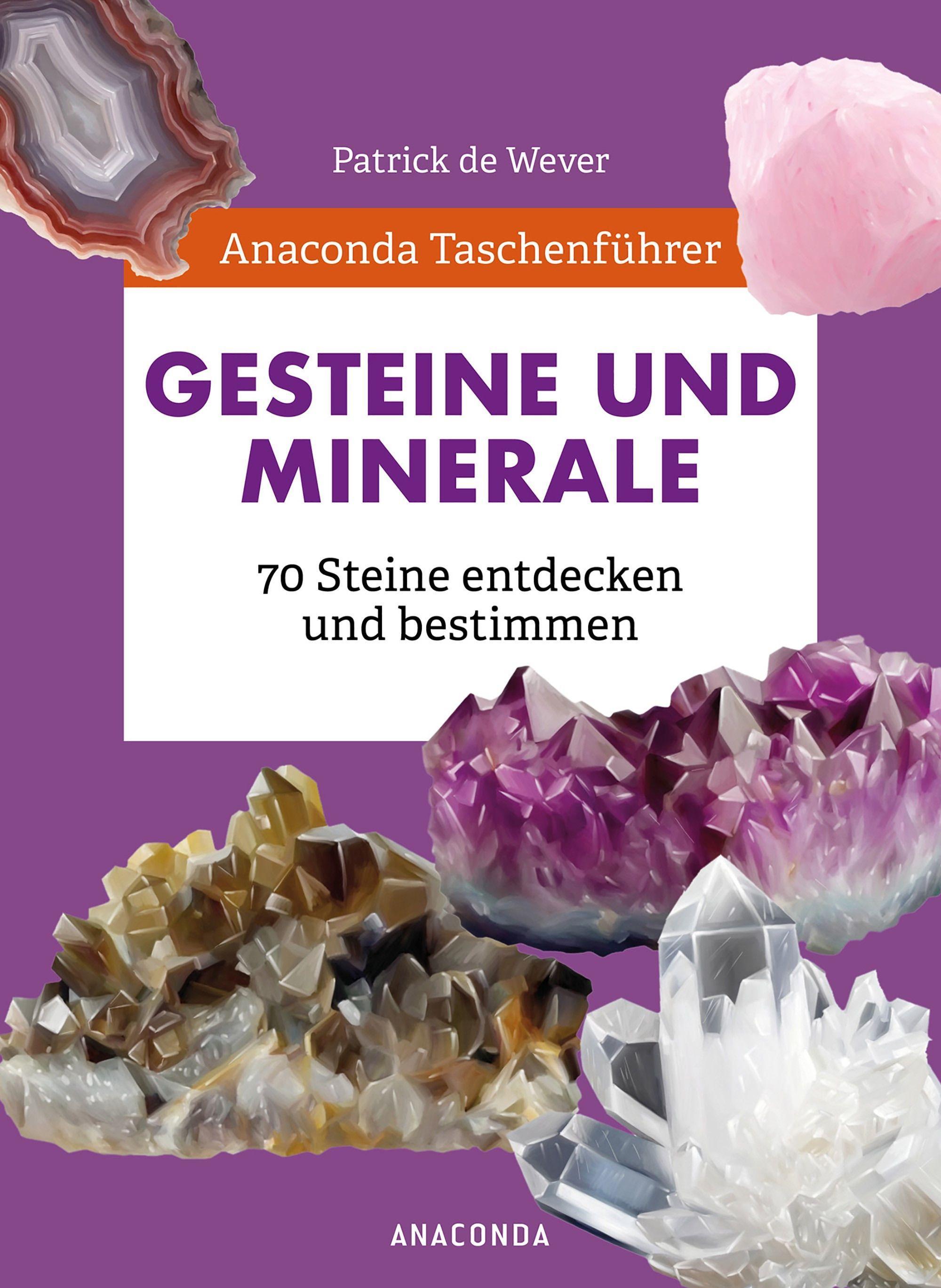 Vorderes Coverbild Anaconda Taschenführer Gesteine und Minerale. 70 Steine entdecken und bestimmen