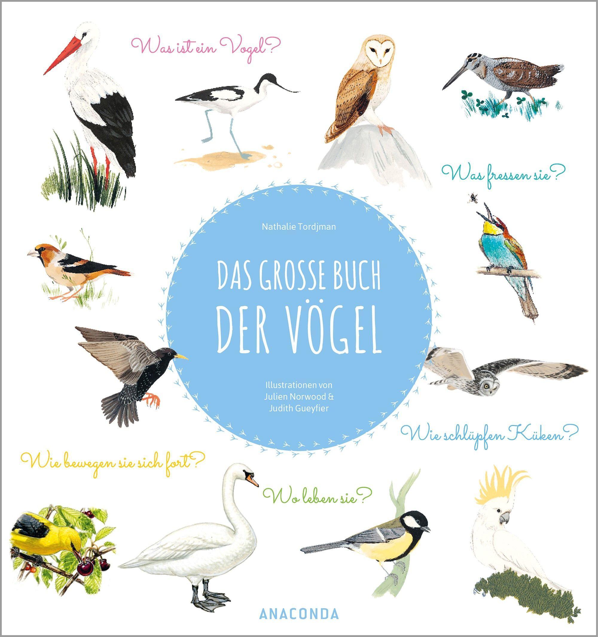 Vorderes Coverbild Das große Buch der Vögel