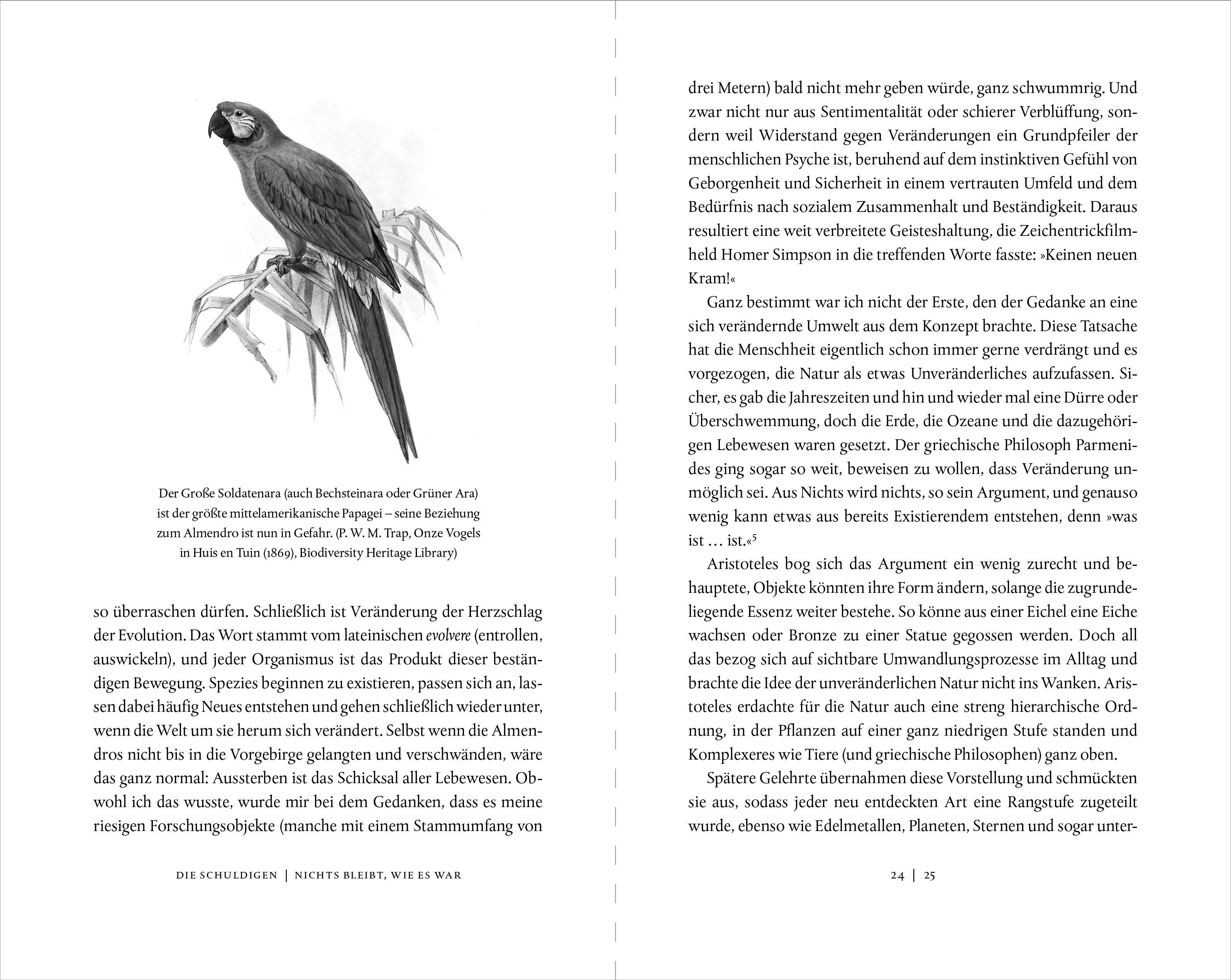 Beispielinhalt (Bild) Von schrumpfenden Tintenfischen und windfesten Eidechsen