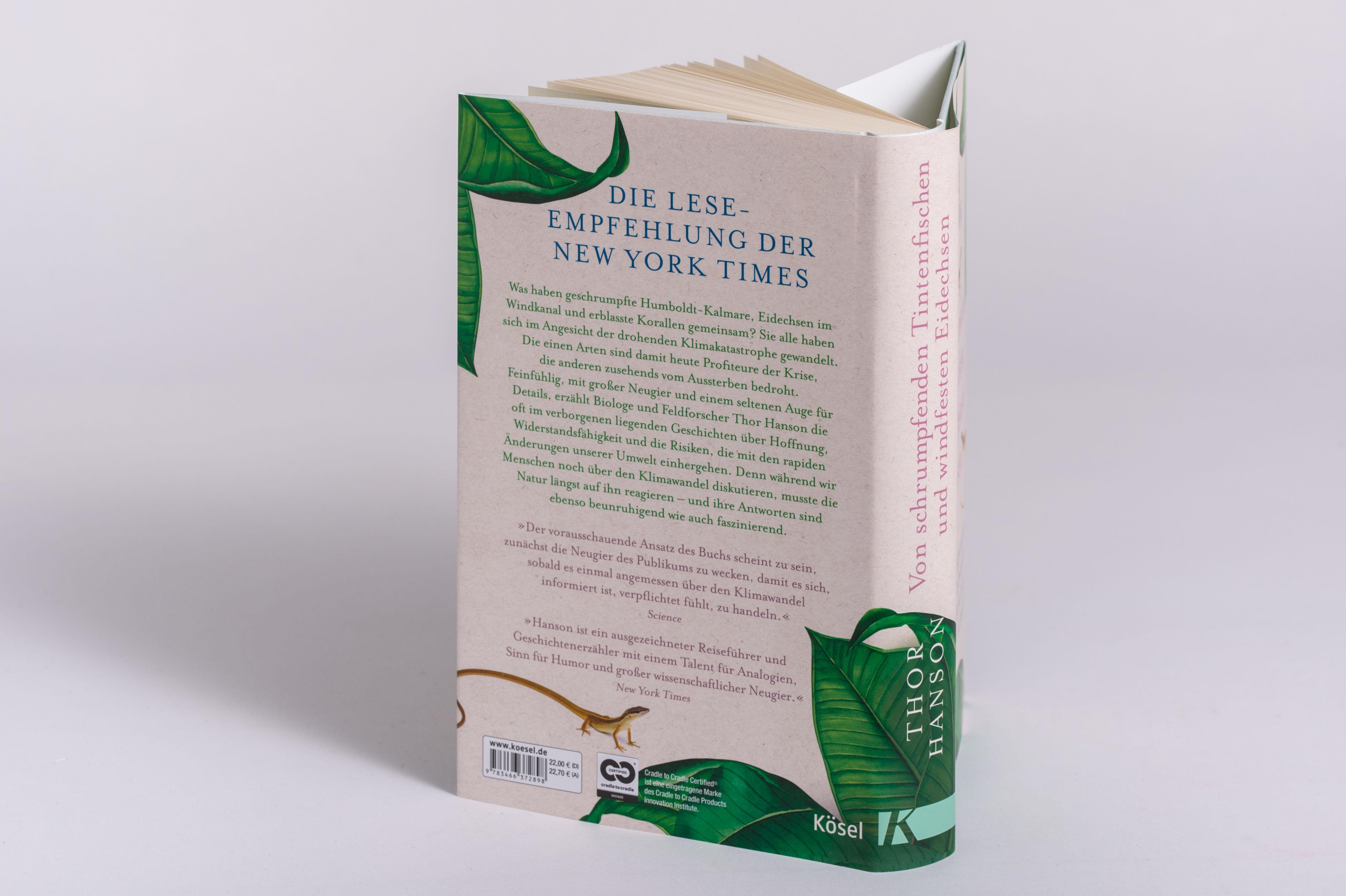 Beispielinhalt (Bild) Von schrumpfenden Tintenfischen und windfesten Eidechsen