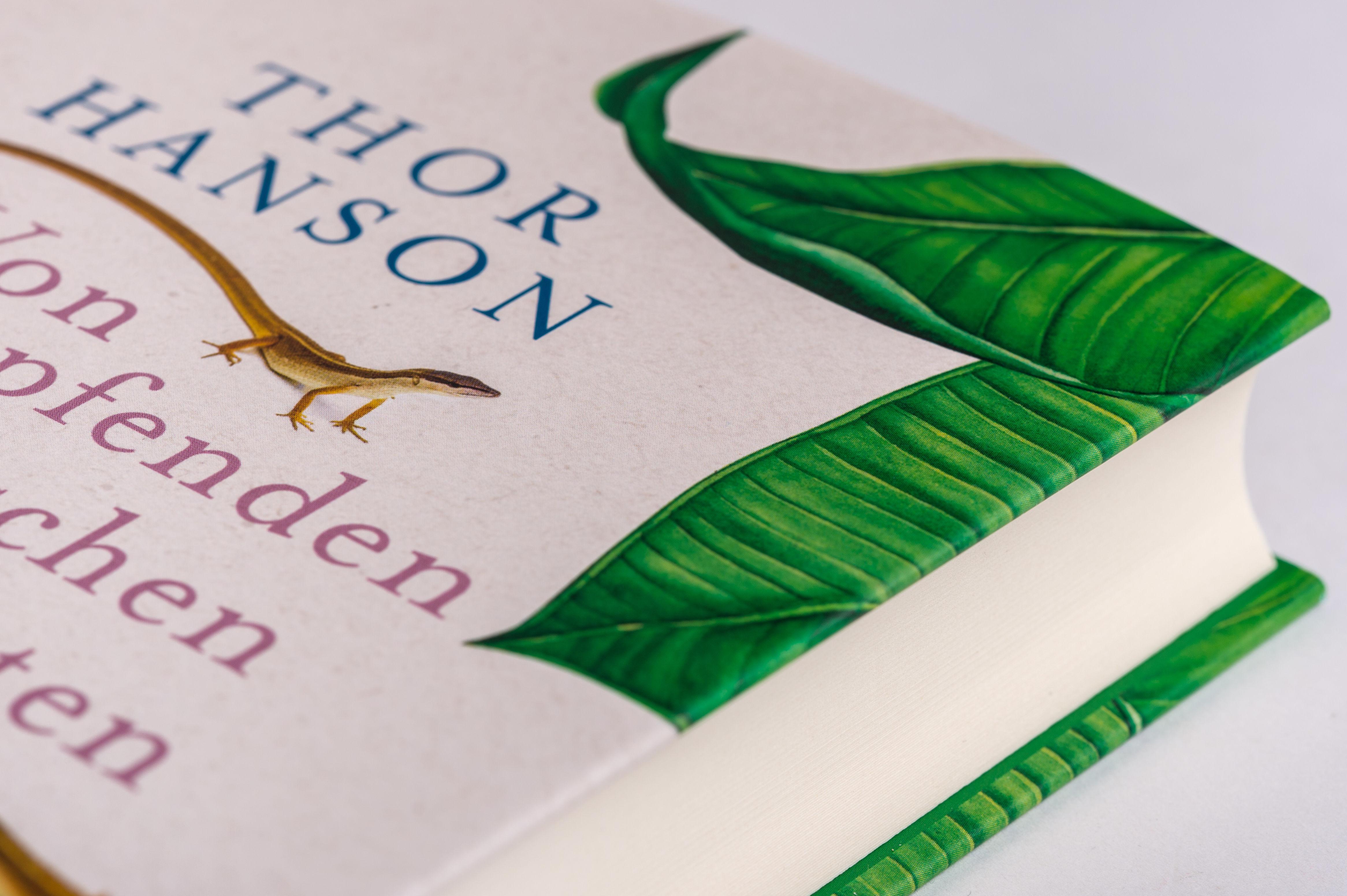 Beispielinhalt (Bild) Von schrumpfenden Tintenfischen und windfesten Eidechsen