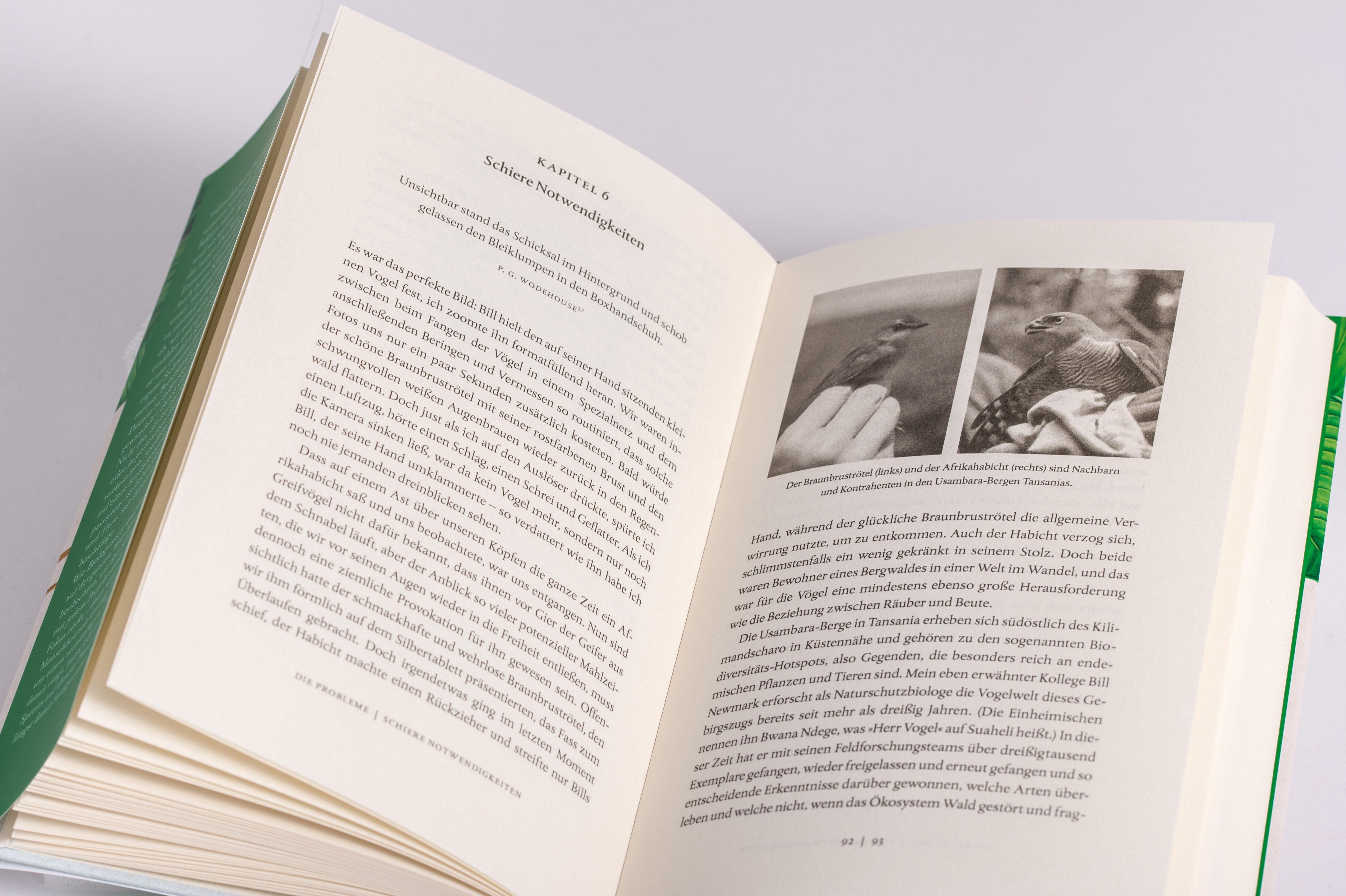 Beispielinhalt (Bild) Von schrumpfenden Tintenfischen und windfesten Eidechsen