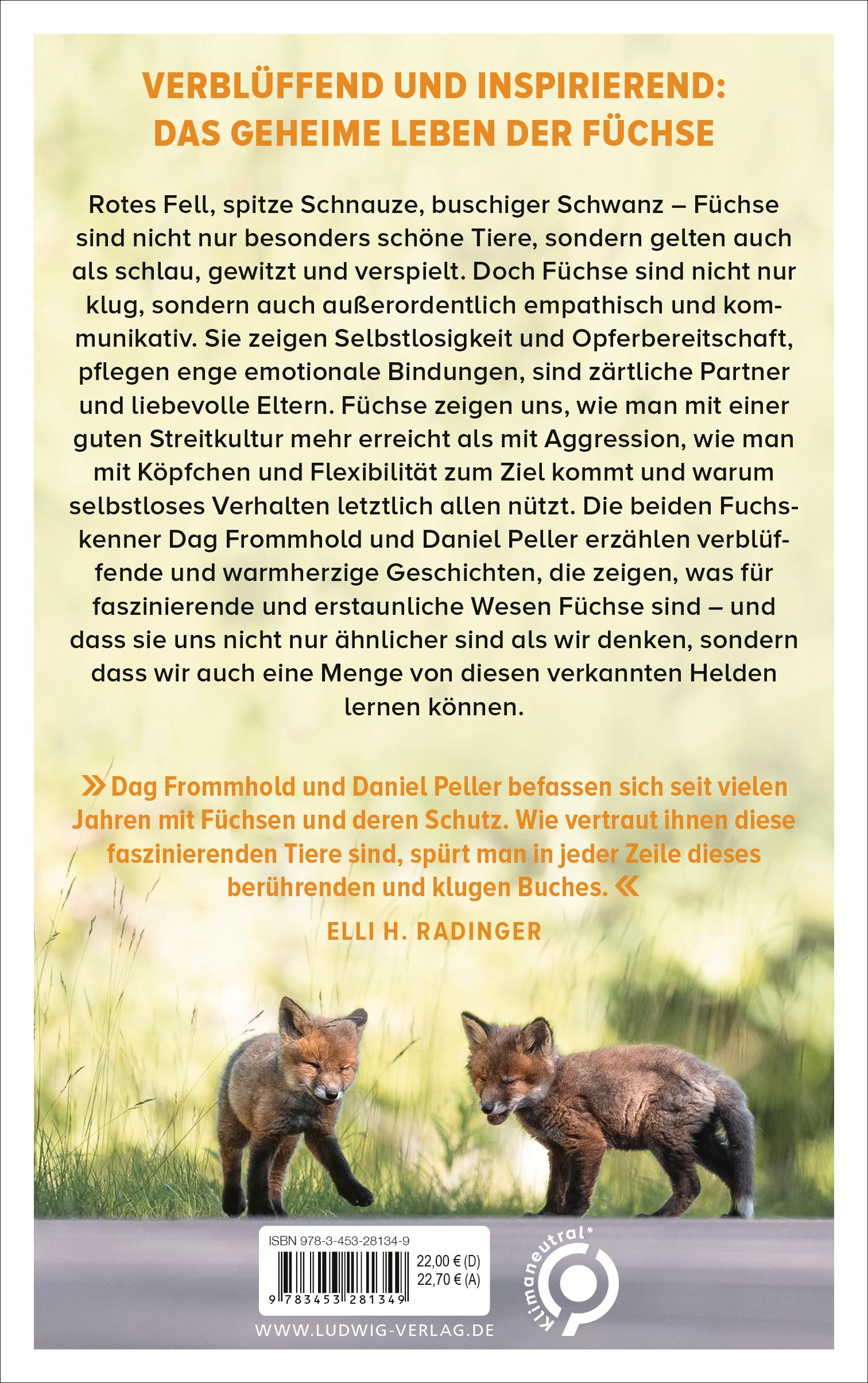 Beispielinhalt (Bild) Die Weisheit der Füchse