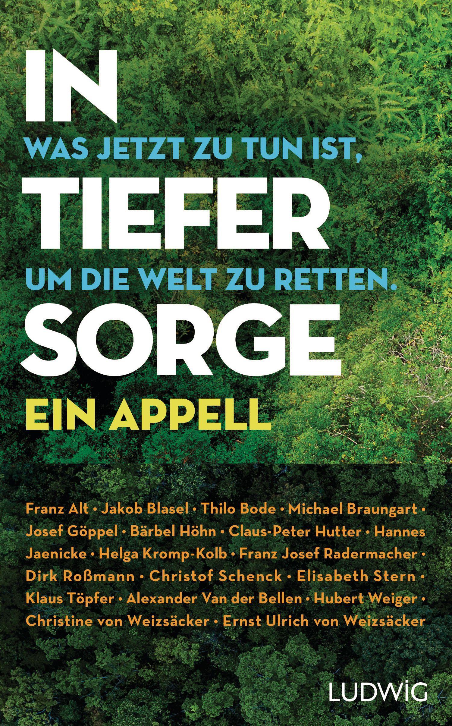 Vorderes Coverbild In tiefer Sorge