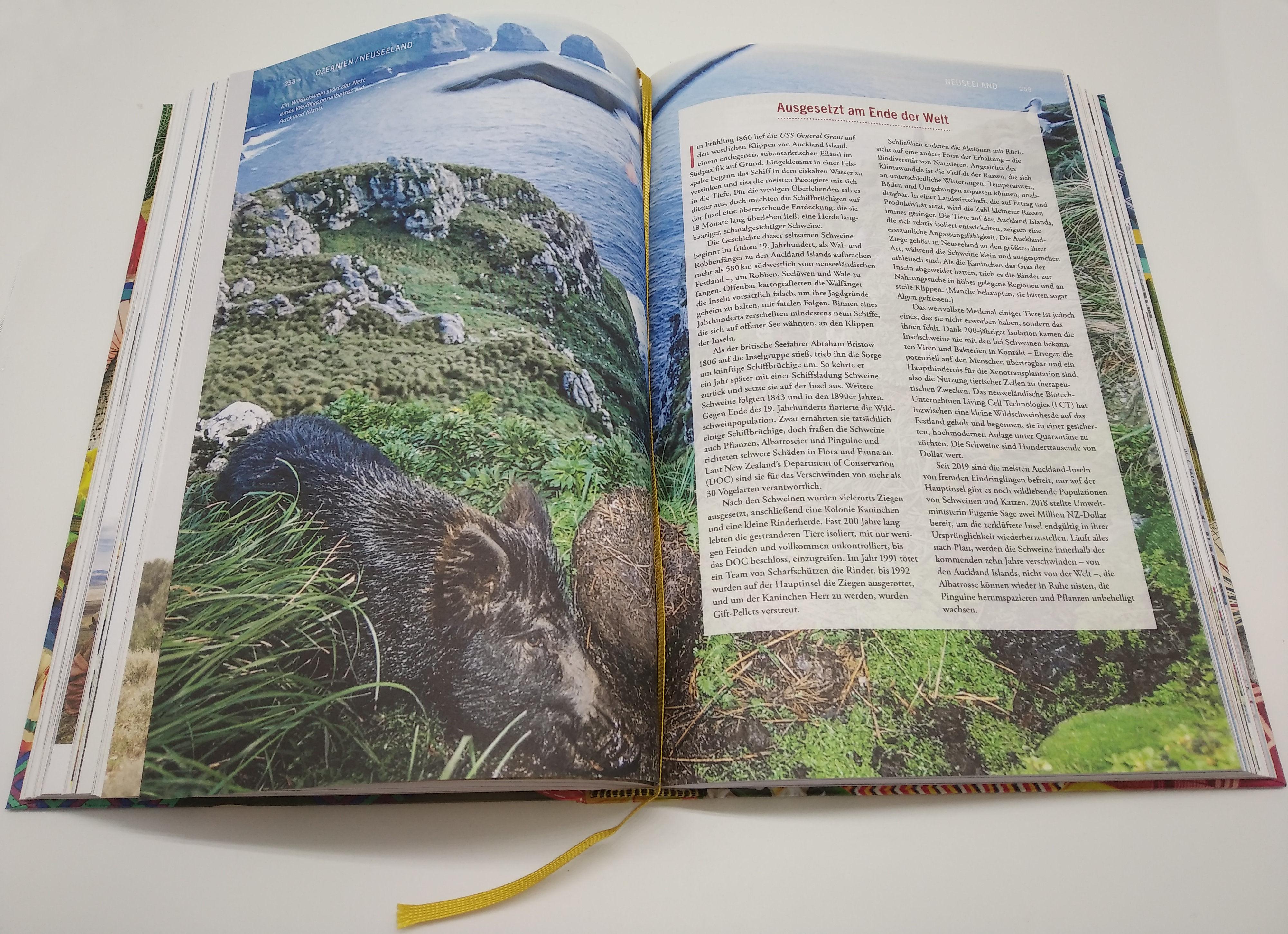 Beispielinhalt (Bild) Gastro Obscura