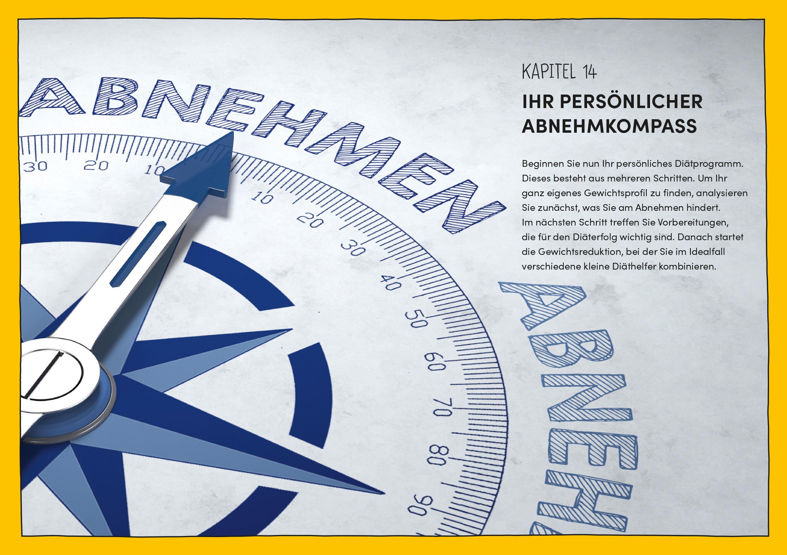 Beispielinhalt (Bild) Der Abnehmkompass  - Diäthürden überwinden und dauerhaft abnehmen  - SPIEGEL Bestseller