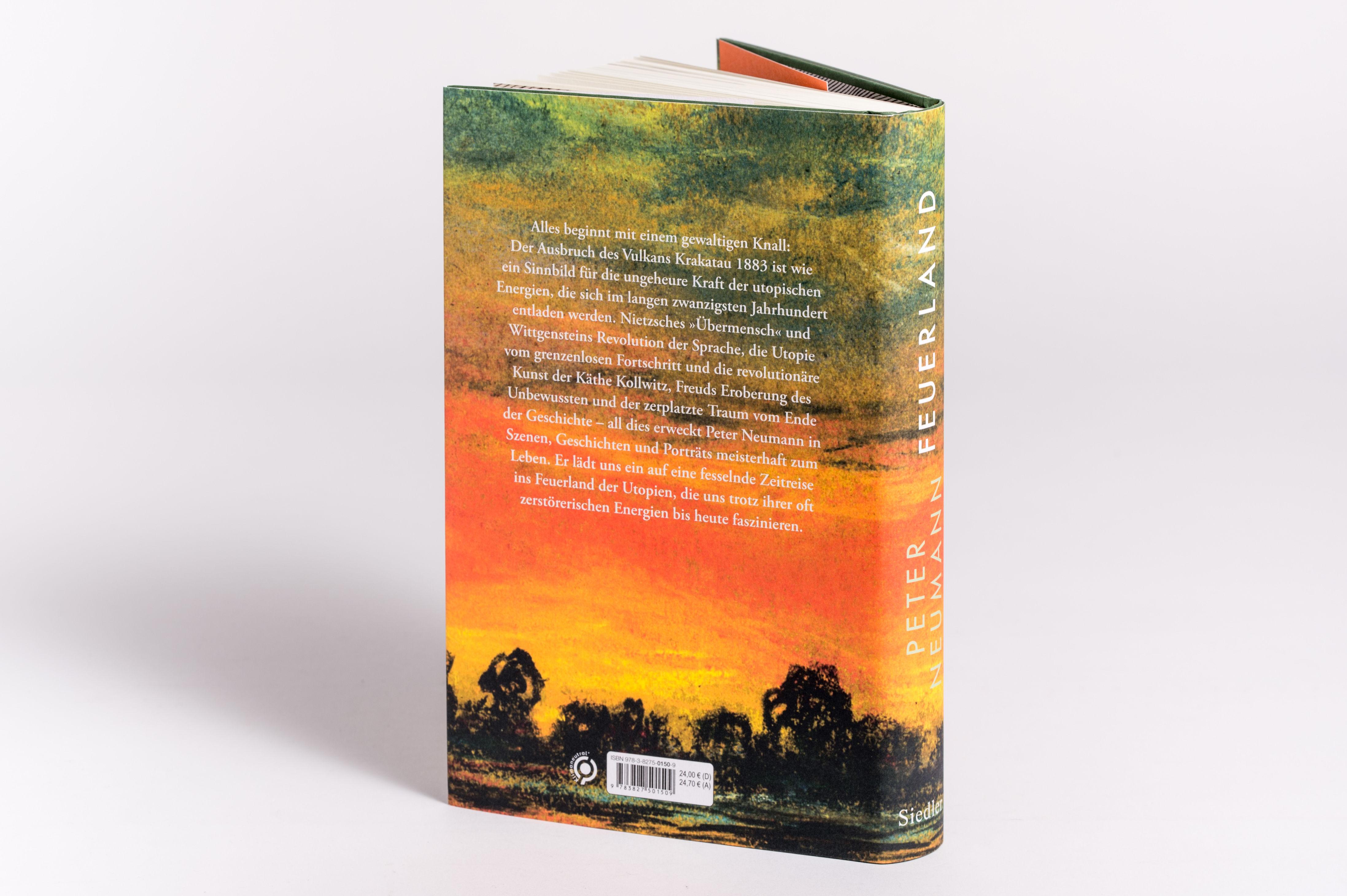 Beispielinhalt (Bild) Feuerland