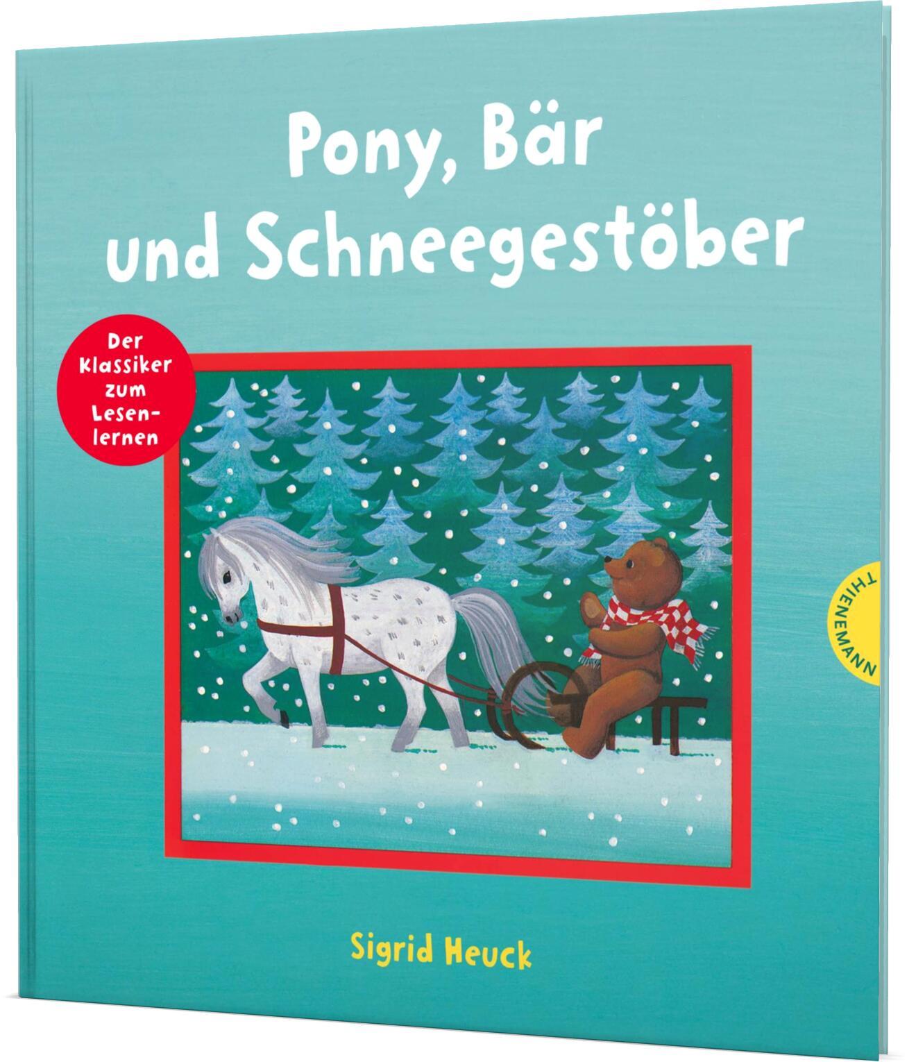 Vorderes Coverbild Pony, Bär und Schneegestöber
