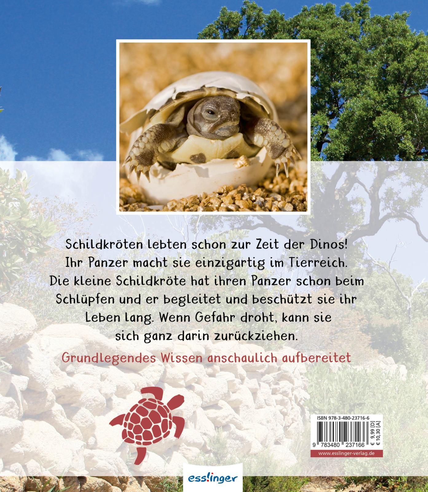 Rückseitencover Meine große Tierbibliothek: Die Schildkröte