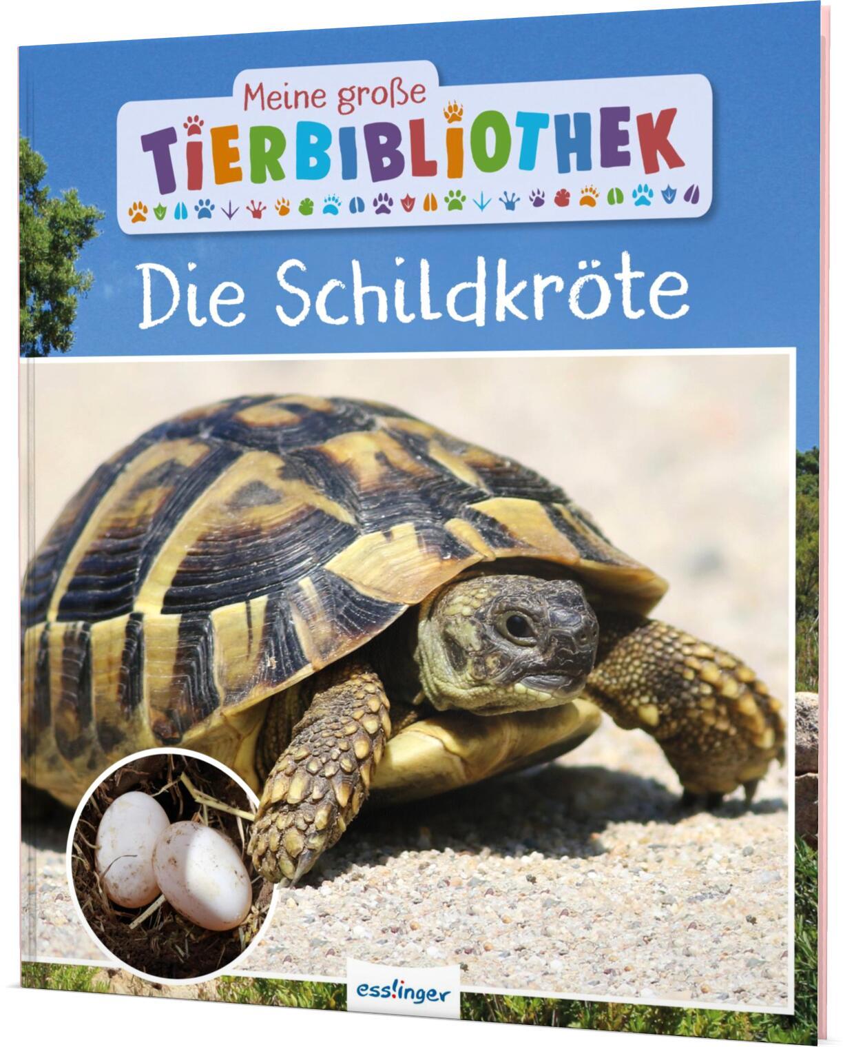 Vorderes Coverbild Meine große Tierbibliothek: Die Schildkröte
