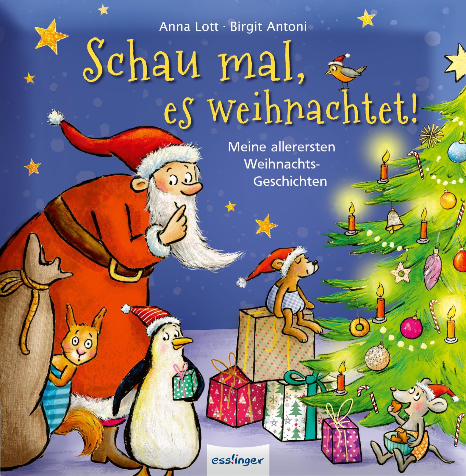 Vorderes Coverbild Schau mal, es weihnachtet!