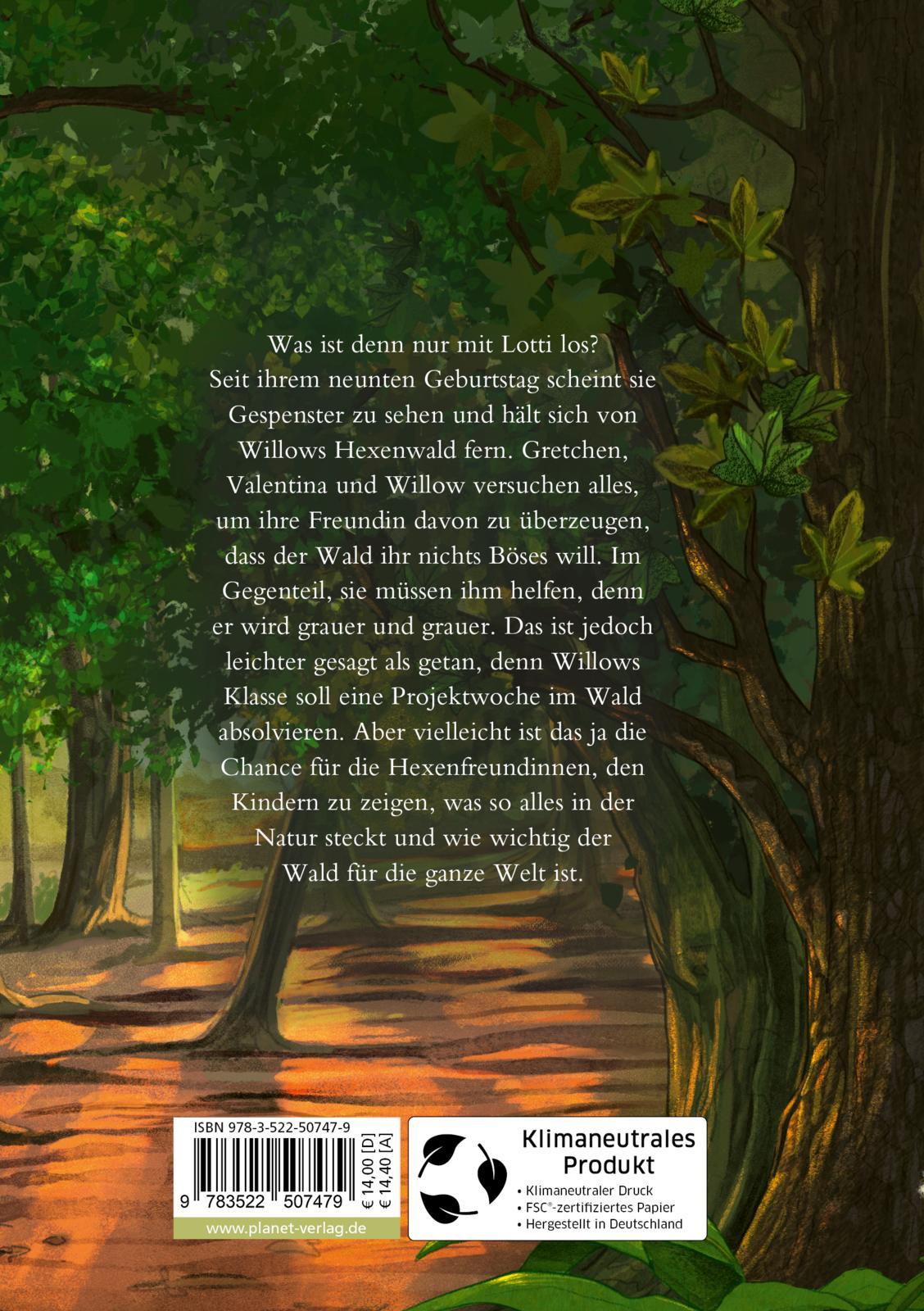 Rückseitencover Ein Mädchen namens Willow 3: Flügelrauschen