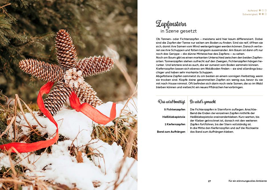 Beispielinhalt (Bild) Natürlich weihnachtlich