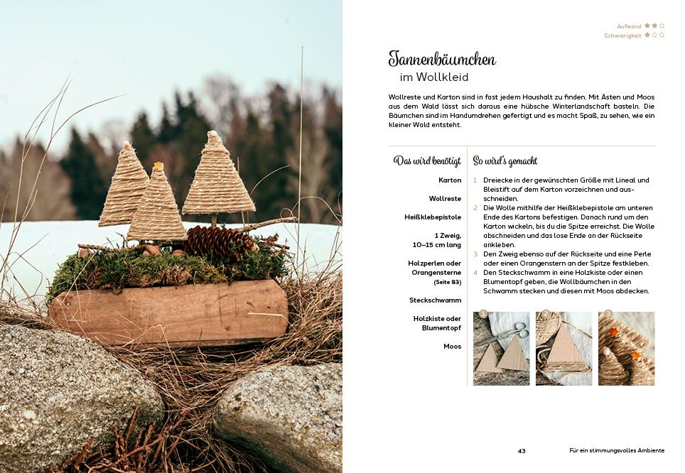 Beispielinhalt (Bild) Natürlich weihnachtlich
