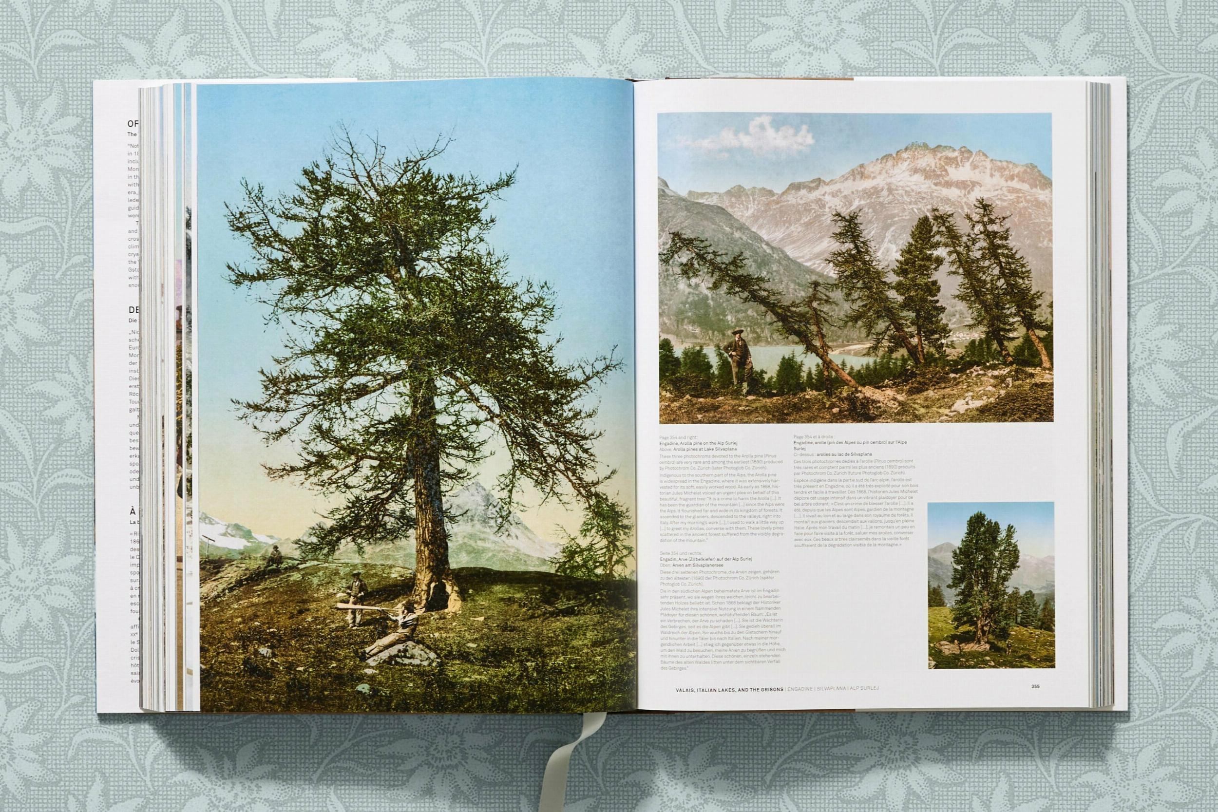 Beispielinhalt (Bild) The Alps 1900. A Portrait in Color