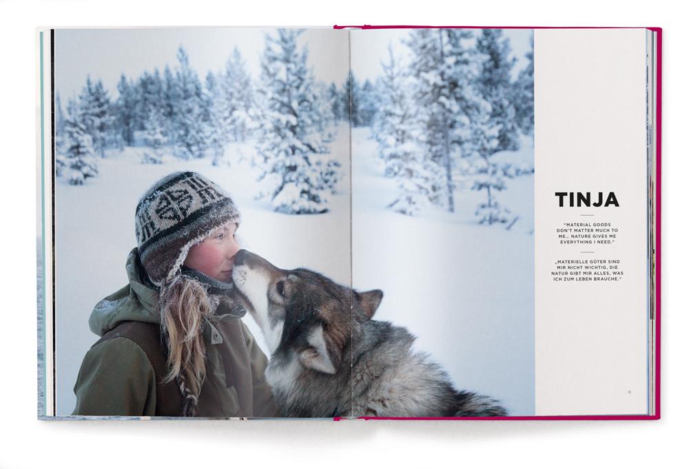 Beispielinhalt (Bild) No Signal