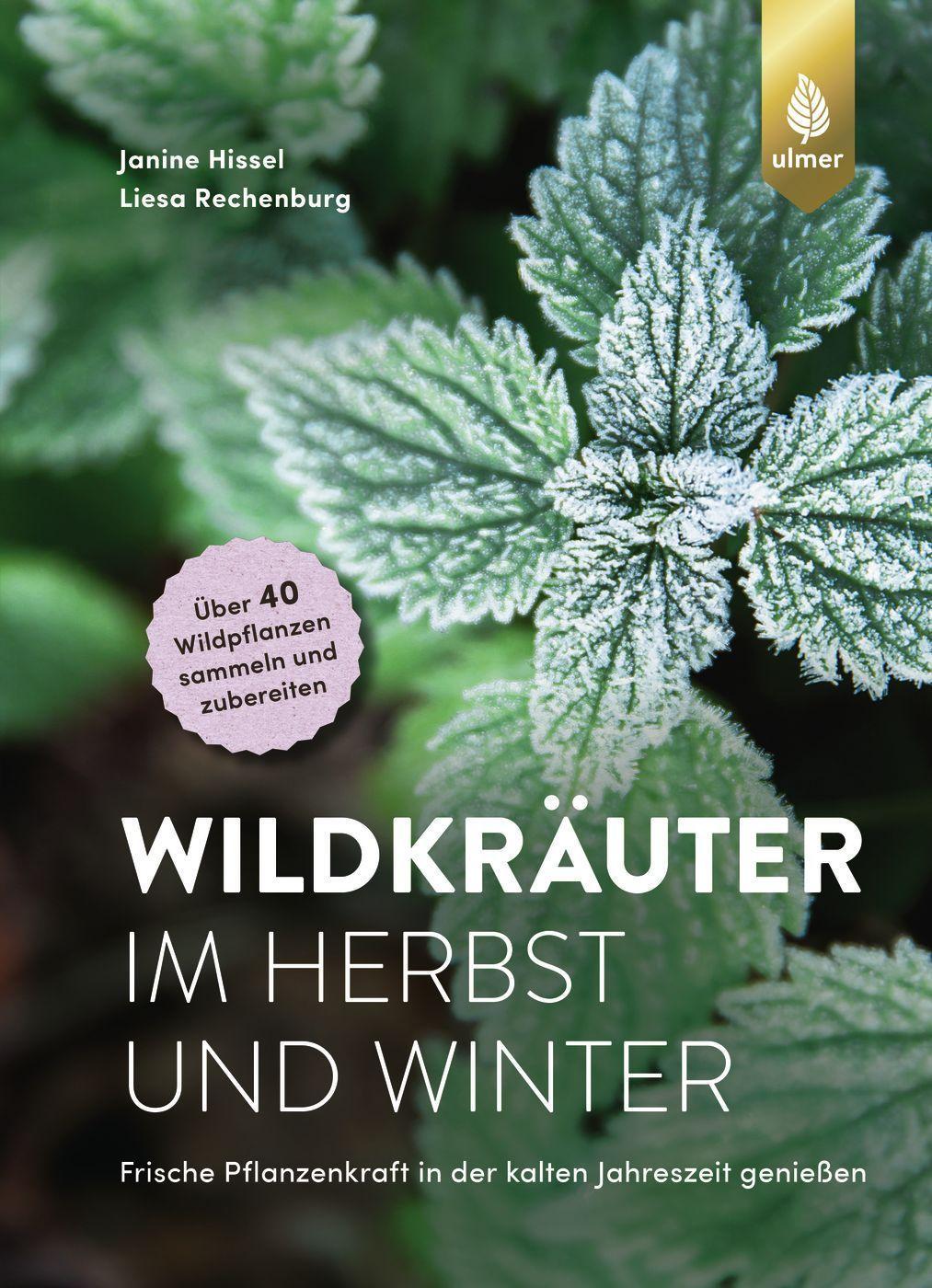 Vorderes Coverbild Wildkräuter im Herbst und Winter