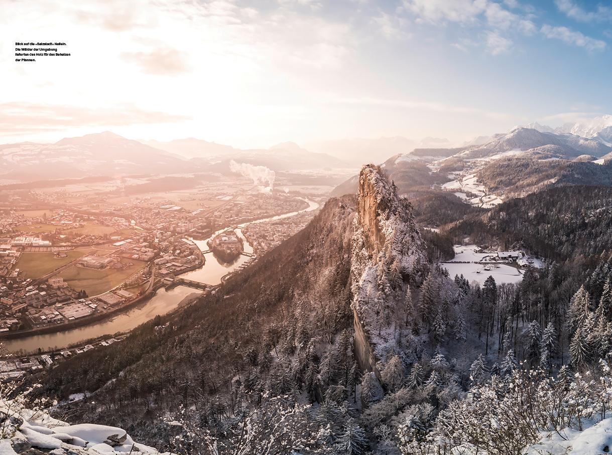 Beispielinhalt (Bild) Der Alpenwald