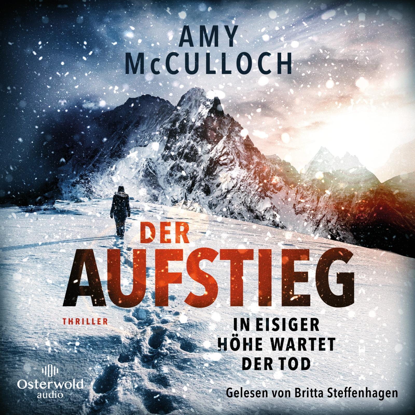 Vorderes Coverbild Der Aufstieg - In eisiger Höhe wartet der Tod