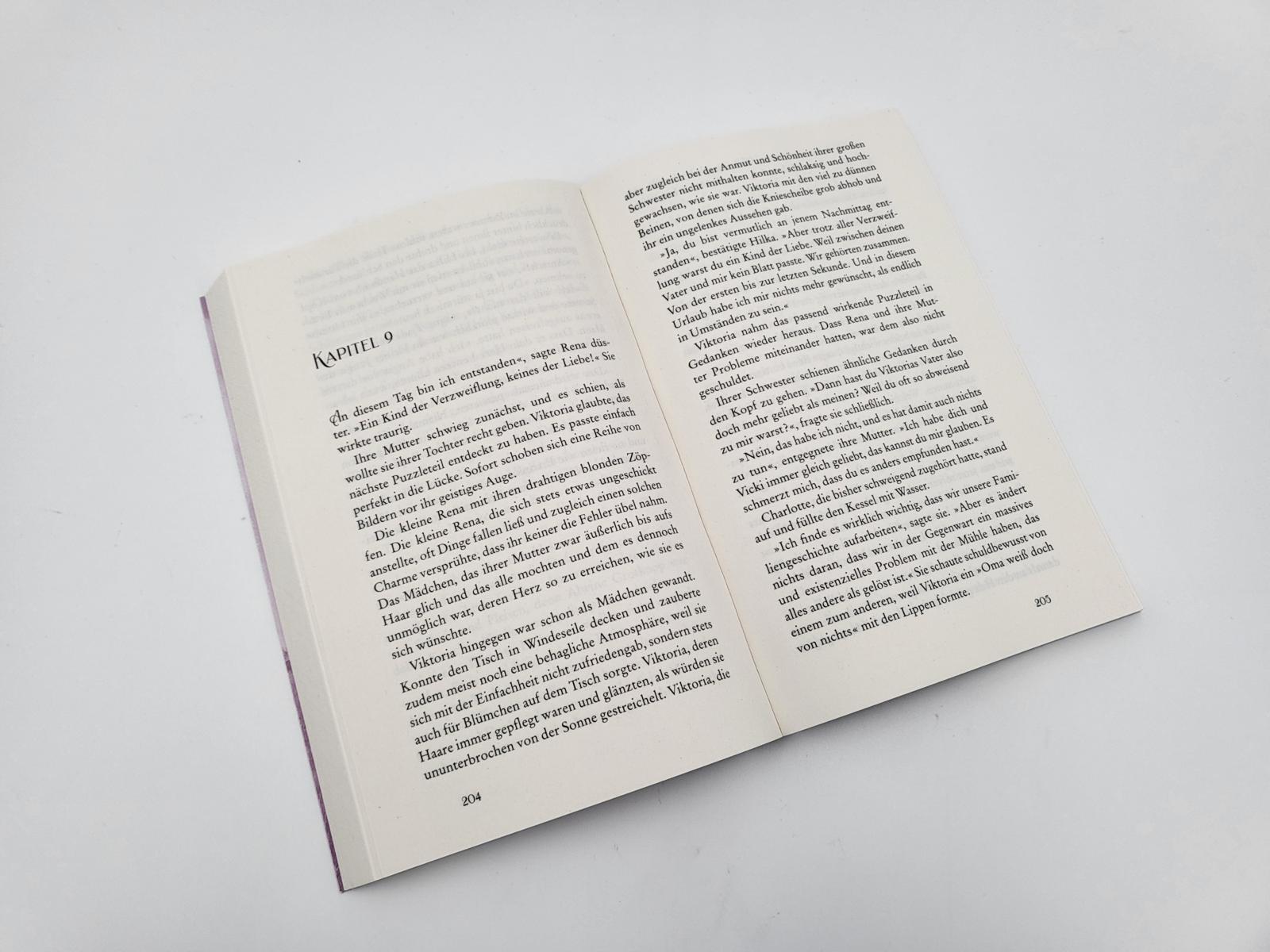 Beispielinhalt (Bild) Die Töchter der Kornmühle